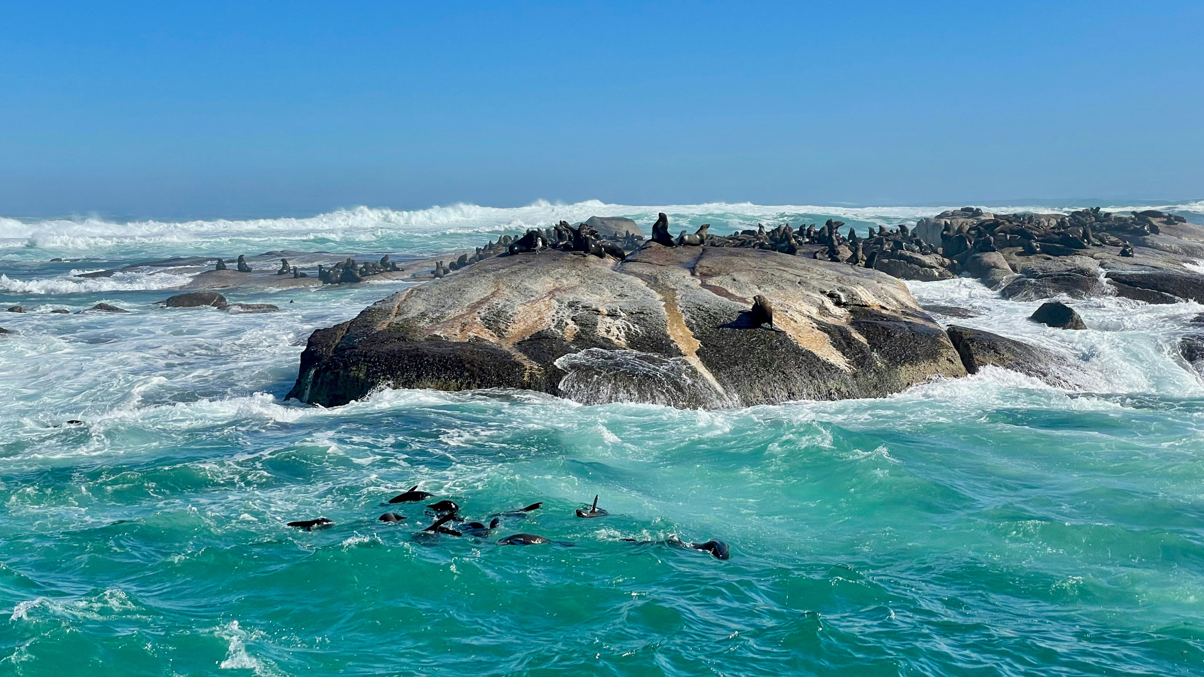 a group of people swimming in the ocean
