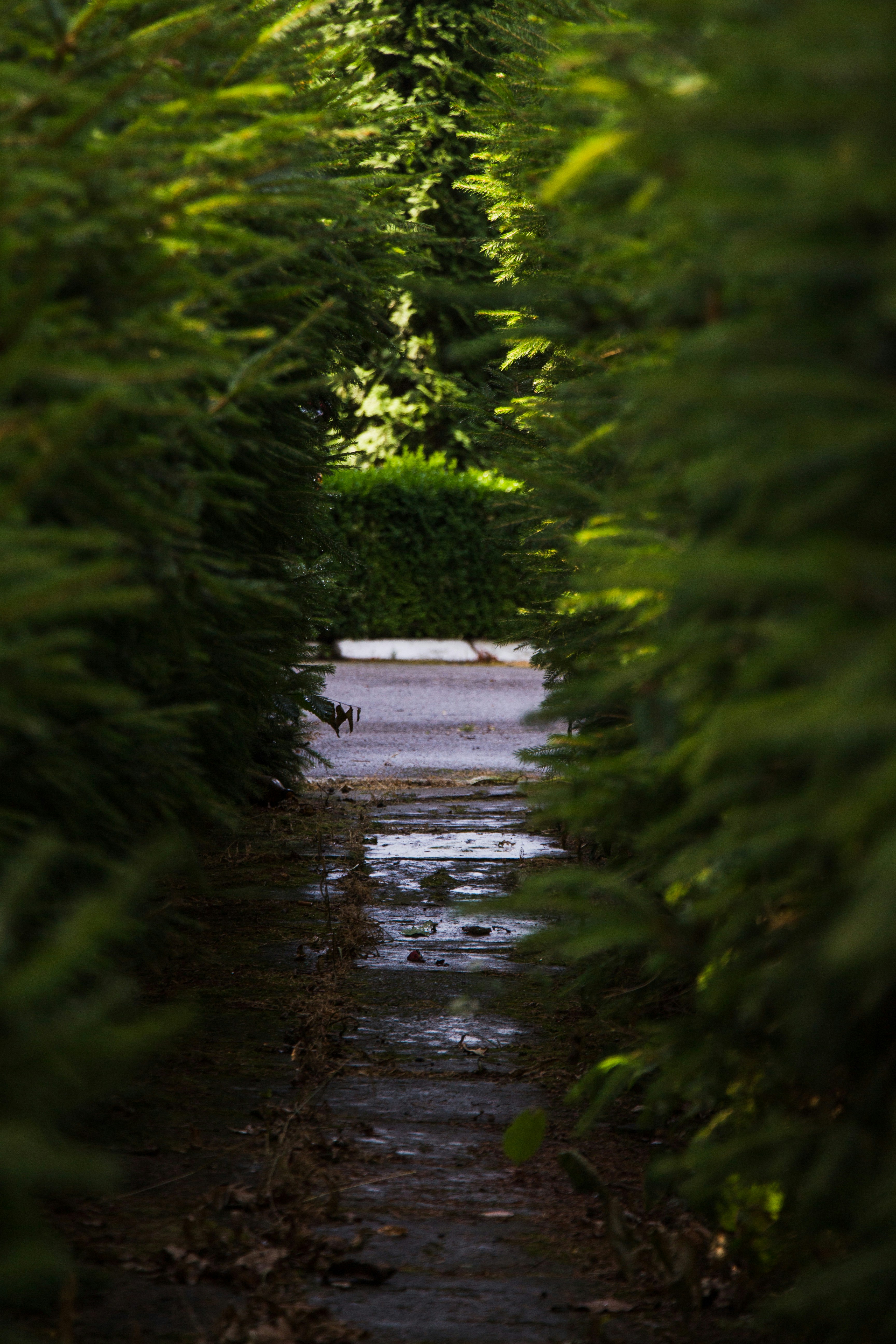 Photo by viktorsmoliak