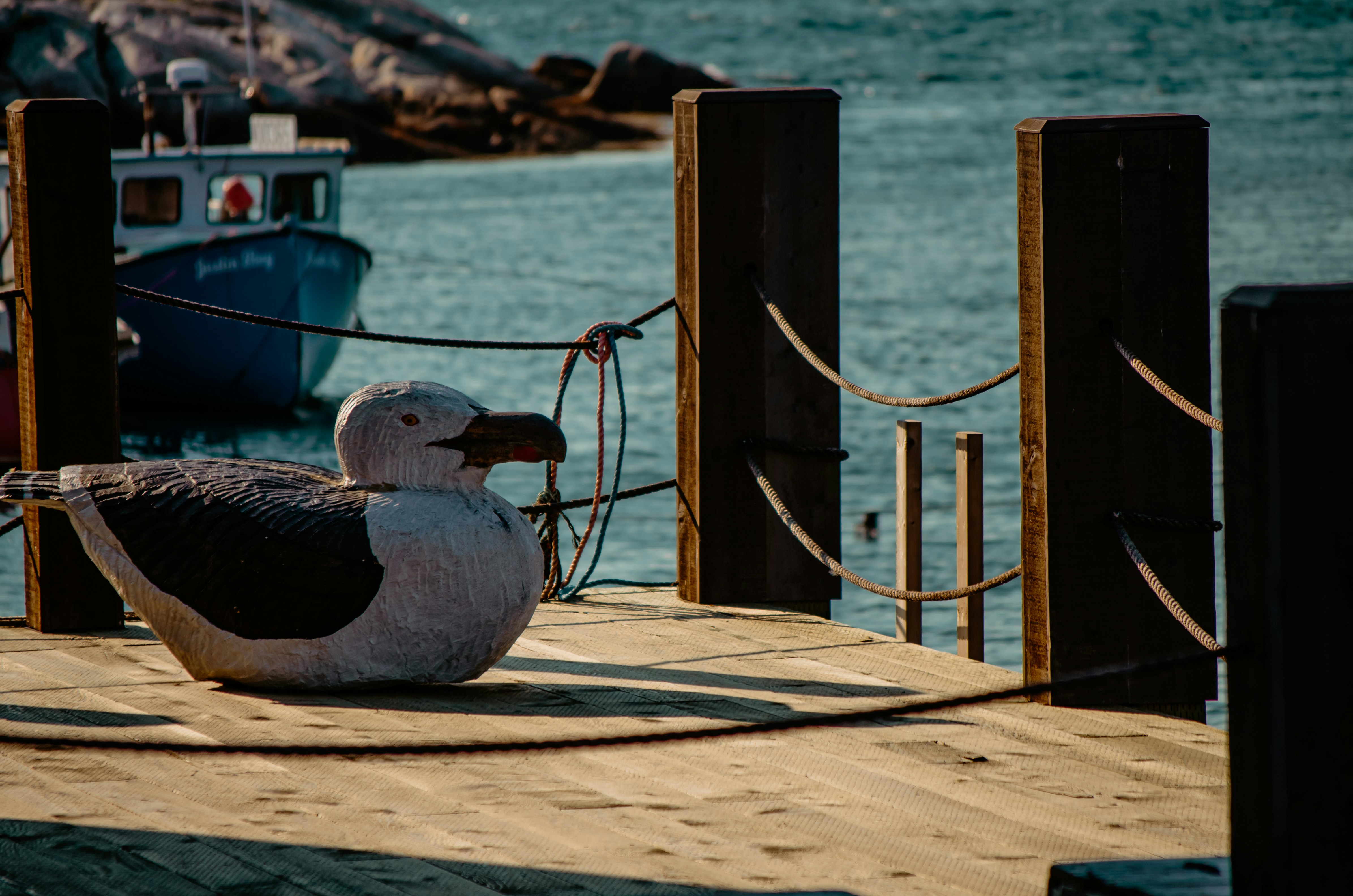 a fish on a dock