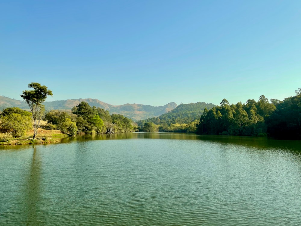 a body of water with trees and hills in the background