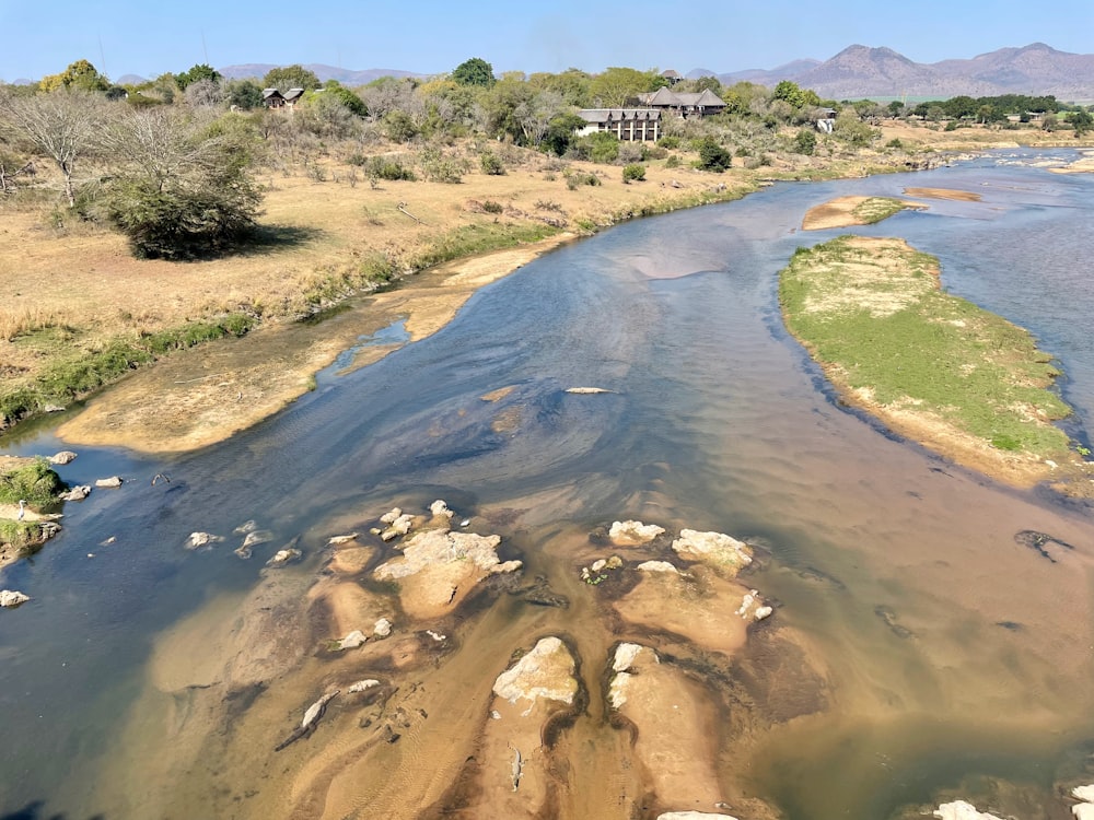 a river with rocks and grass