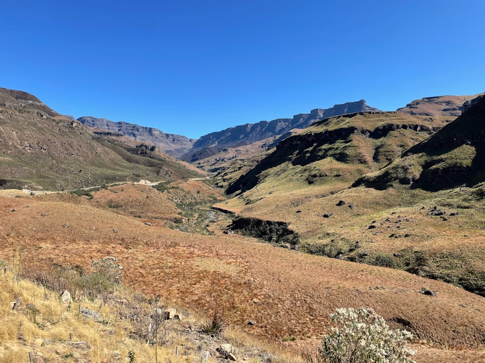 Un paysage avec des collines et des buissons