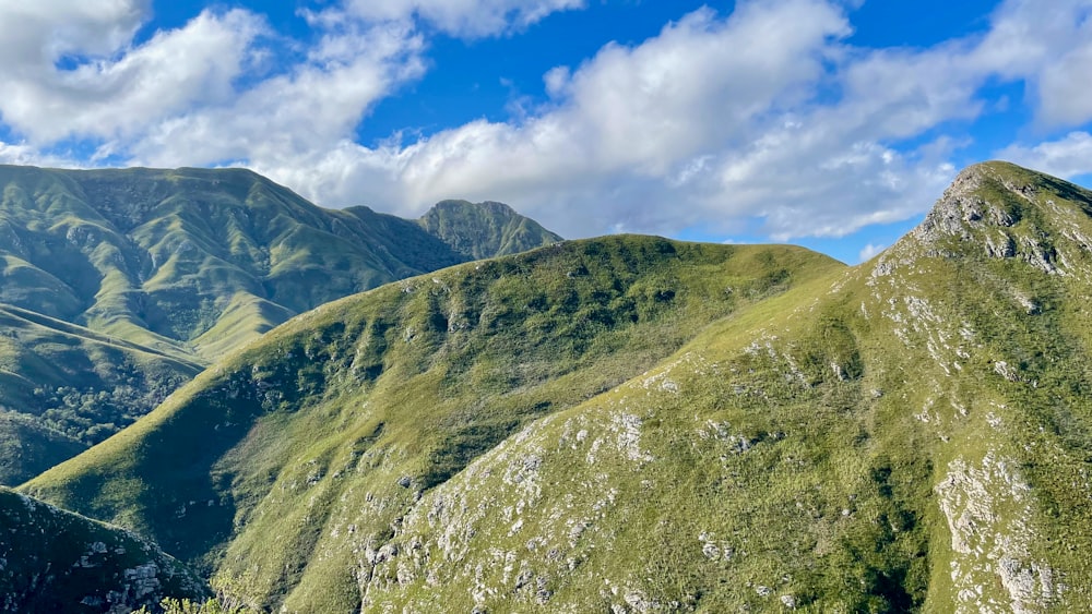 a grassy valley with trees and mountains in the background