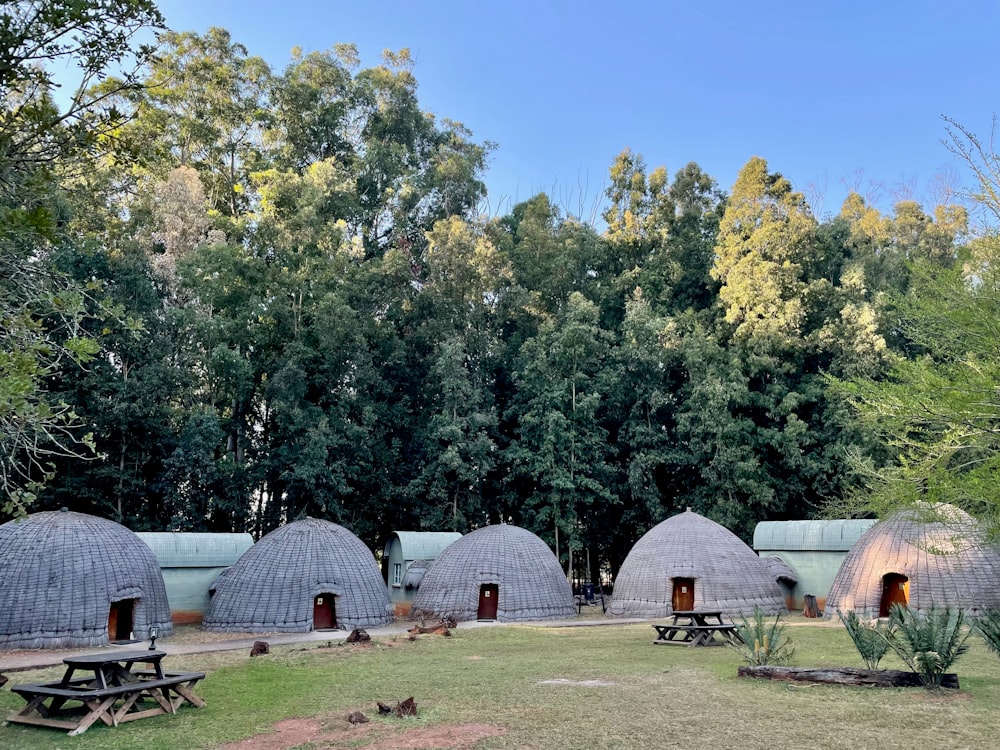 a group of greenhouses in a field