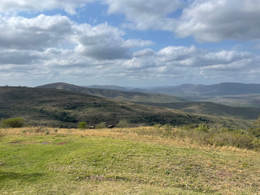 a grassy field with hills in the background