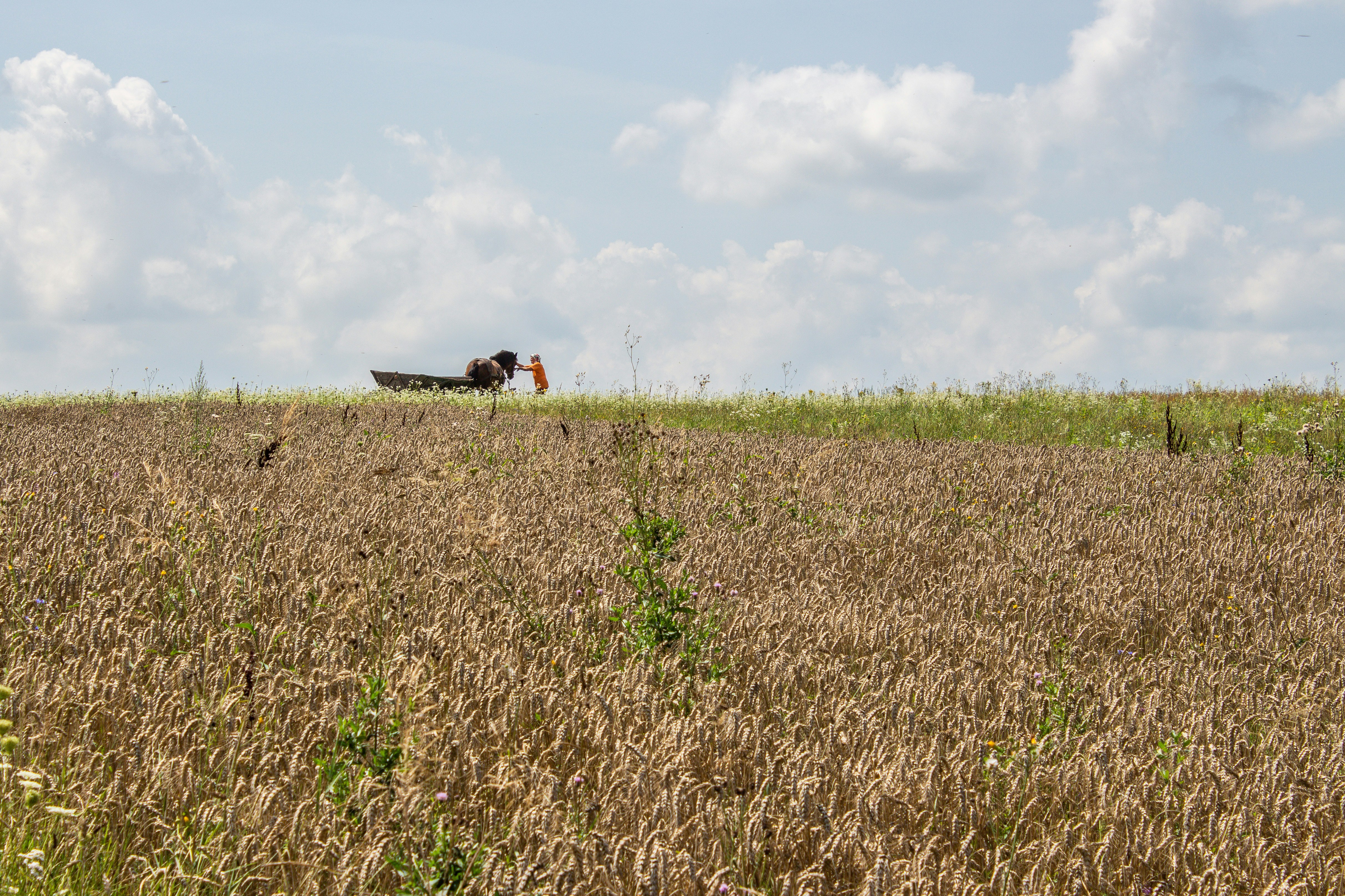 Photo by viktorsmoliak