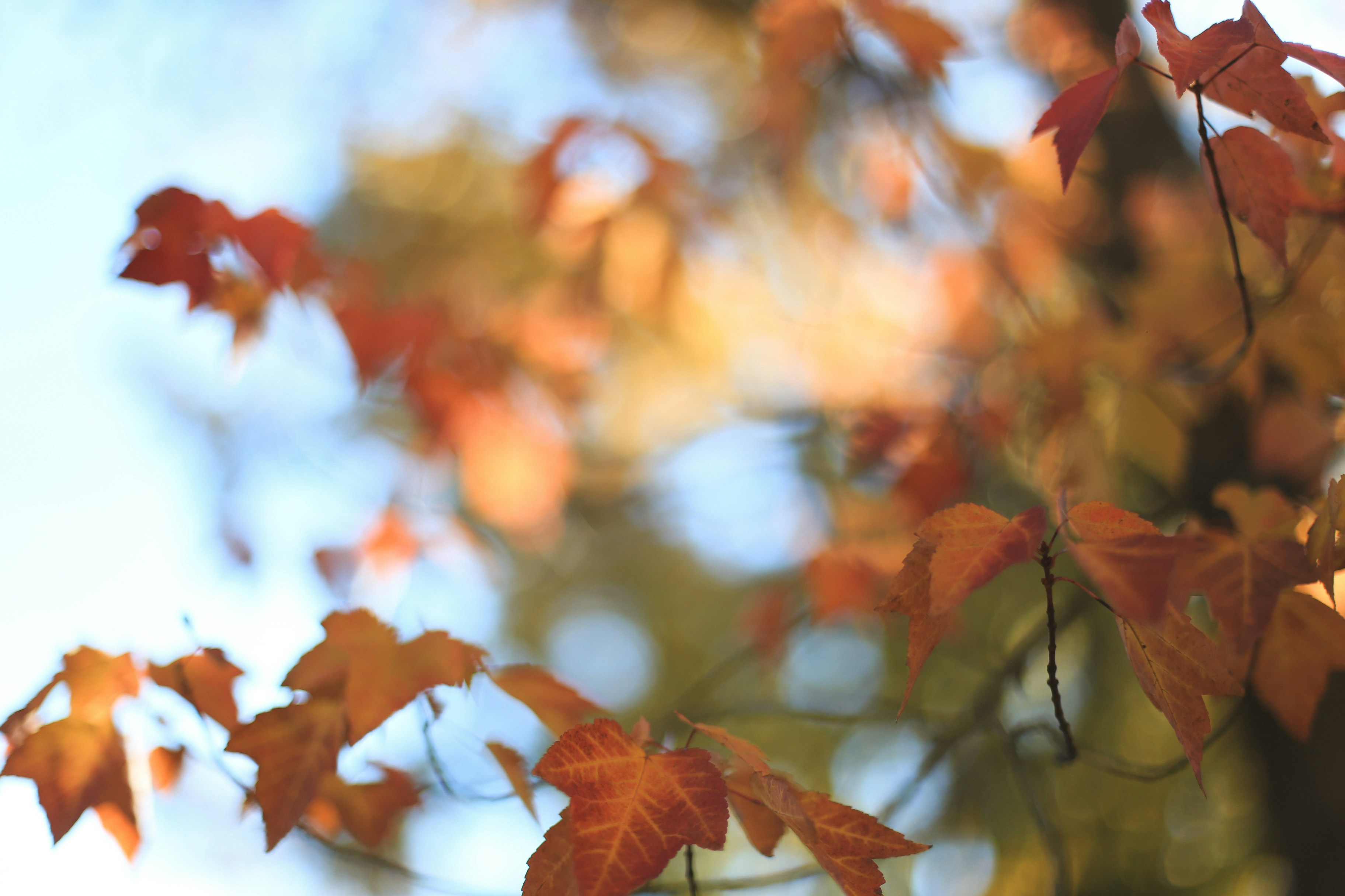 Photo by jessicalfadel