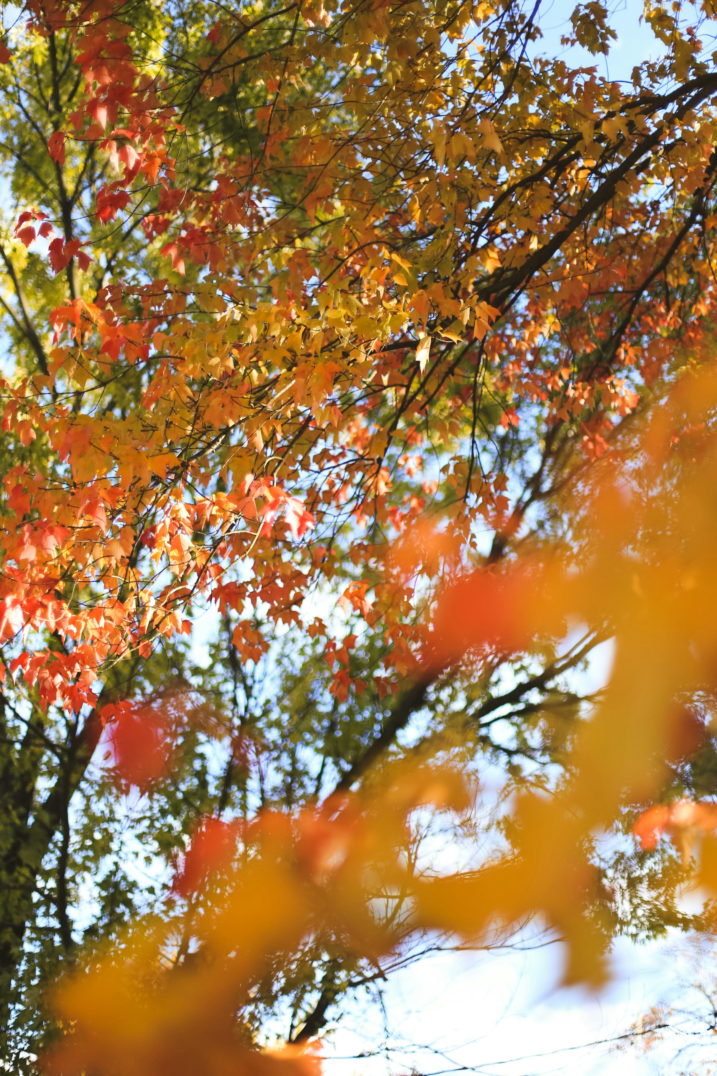 Photo by jessicalfadel