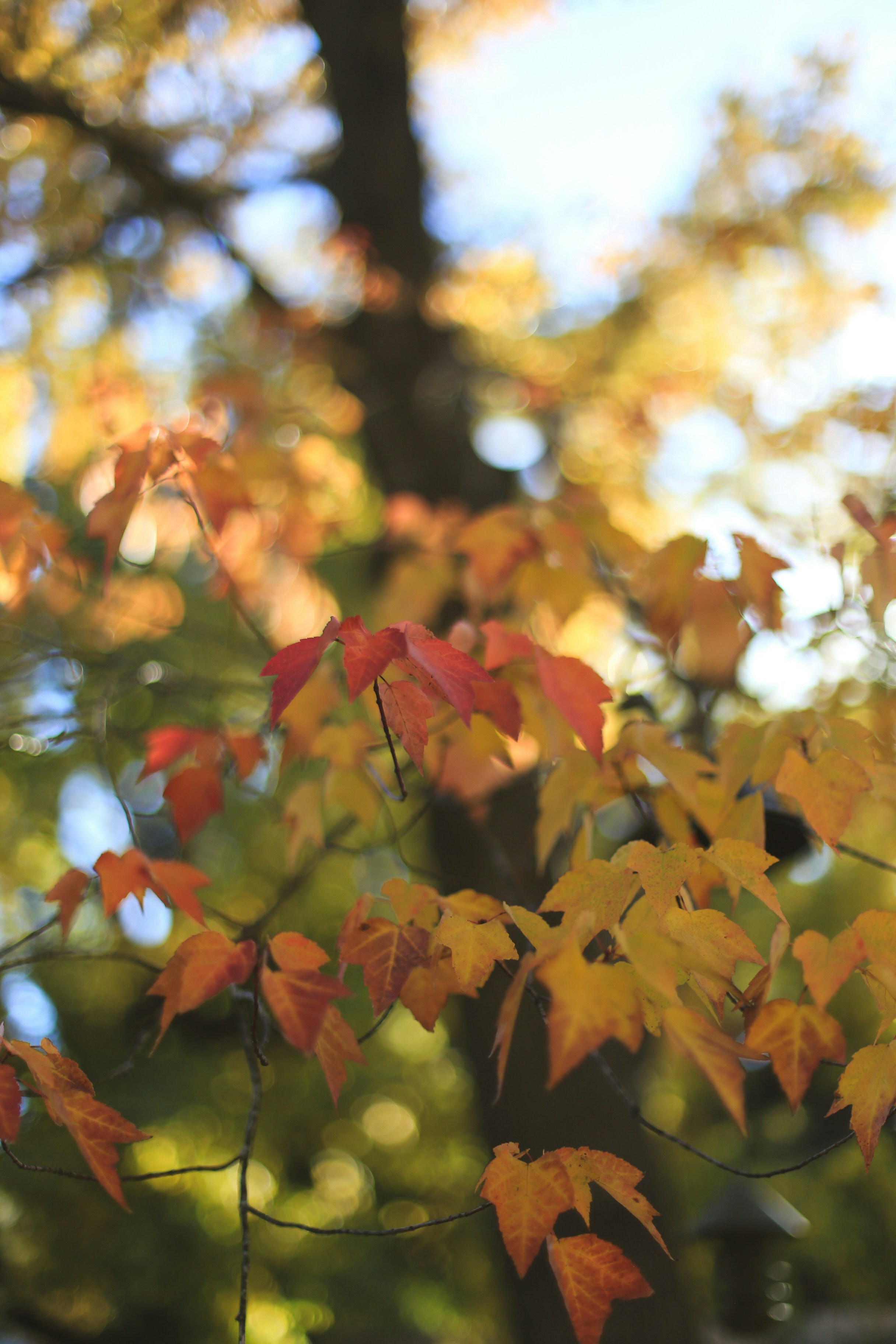 Photo by jessicalfadel