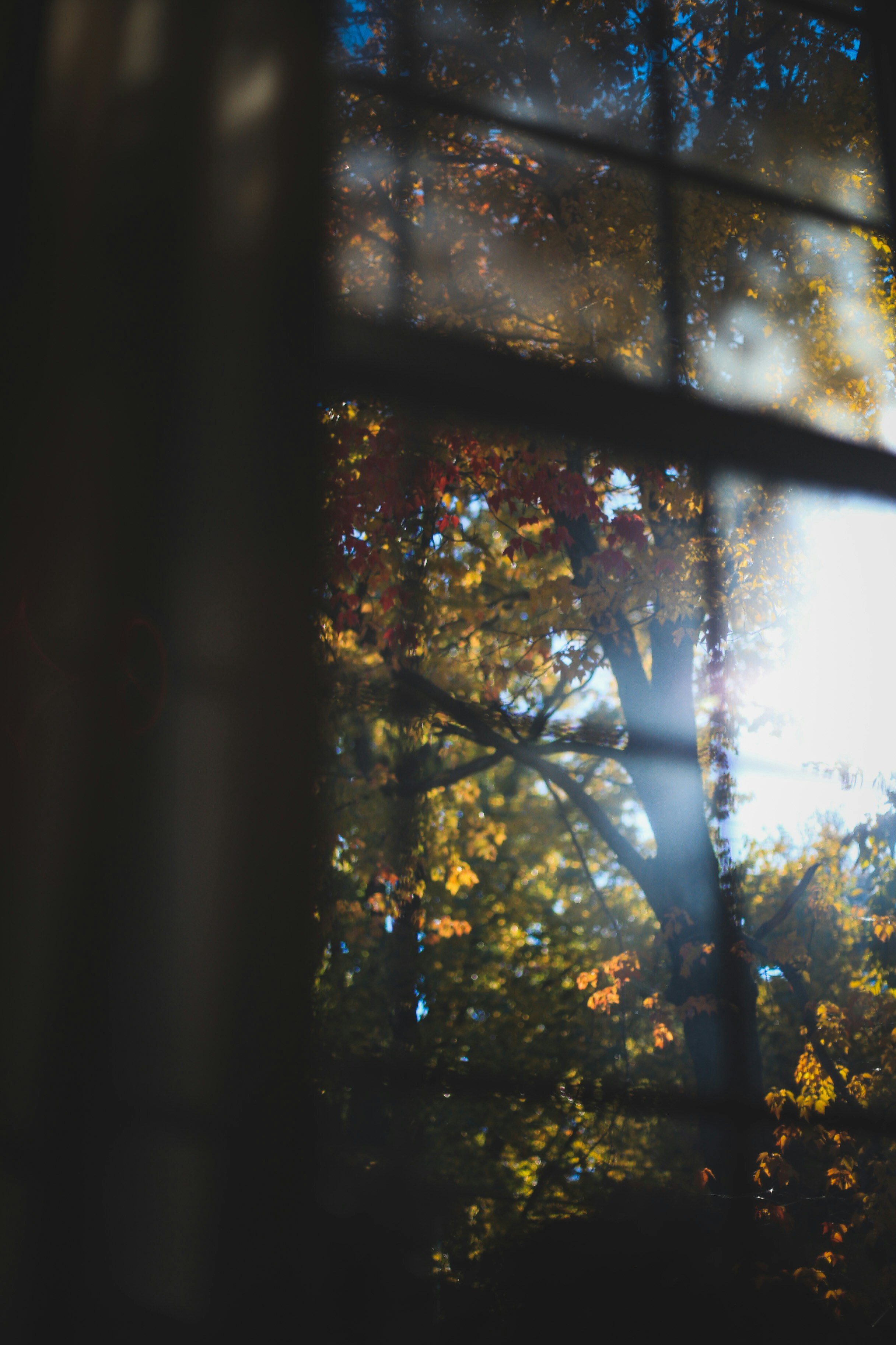 Photo by jessicalfadel