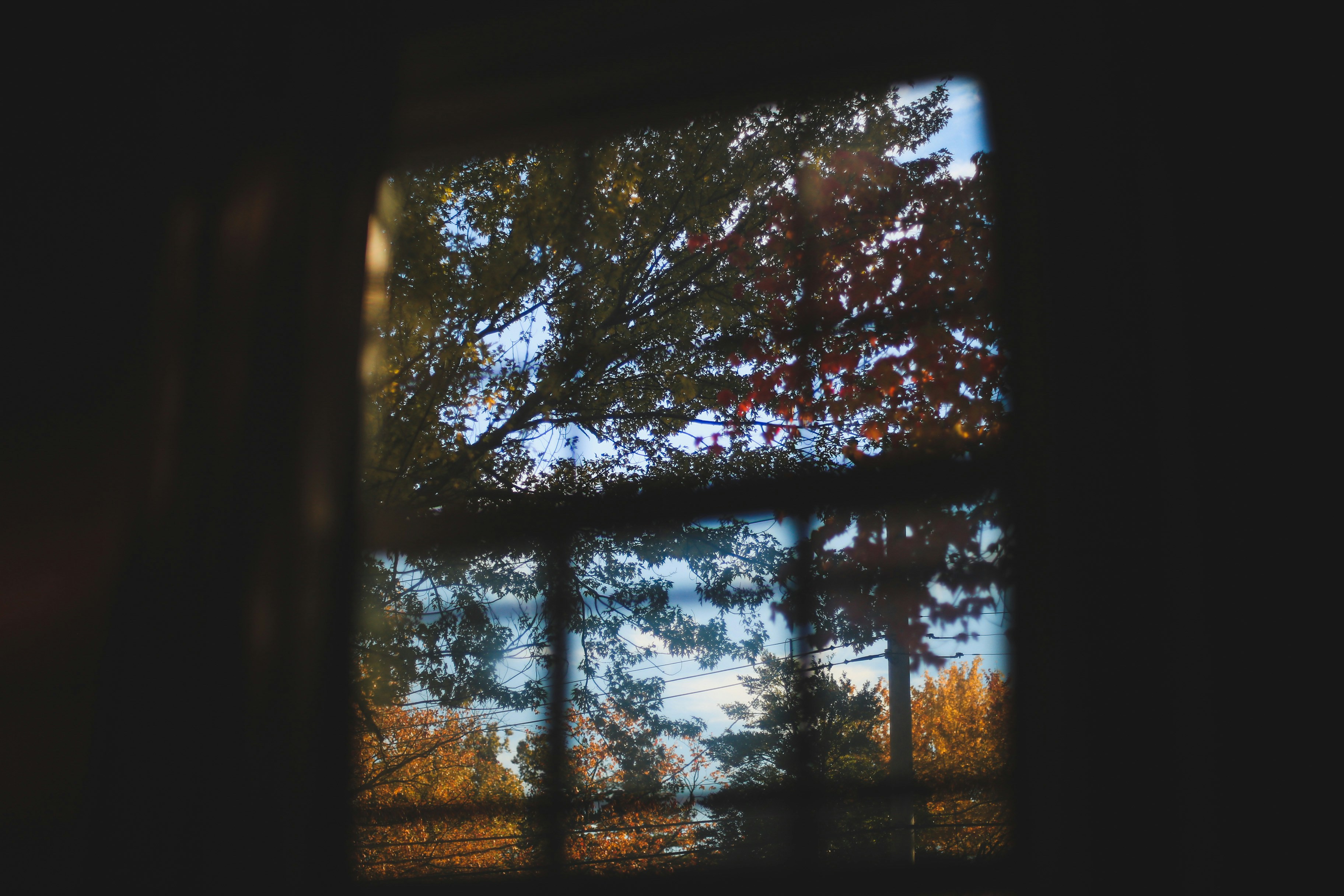 Photo by jessicalfadel