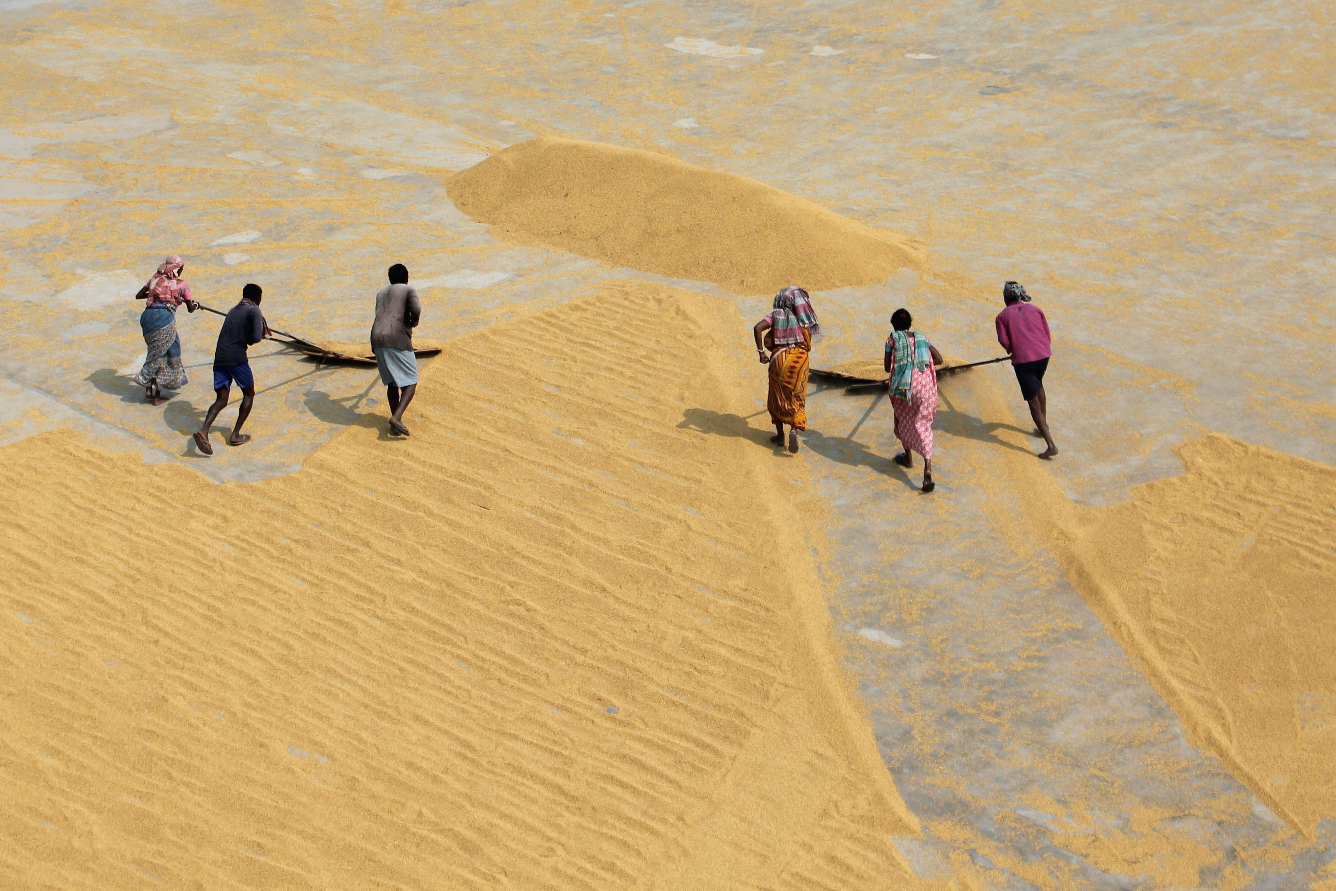 Photo by dibakar16roy