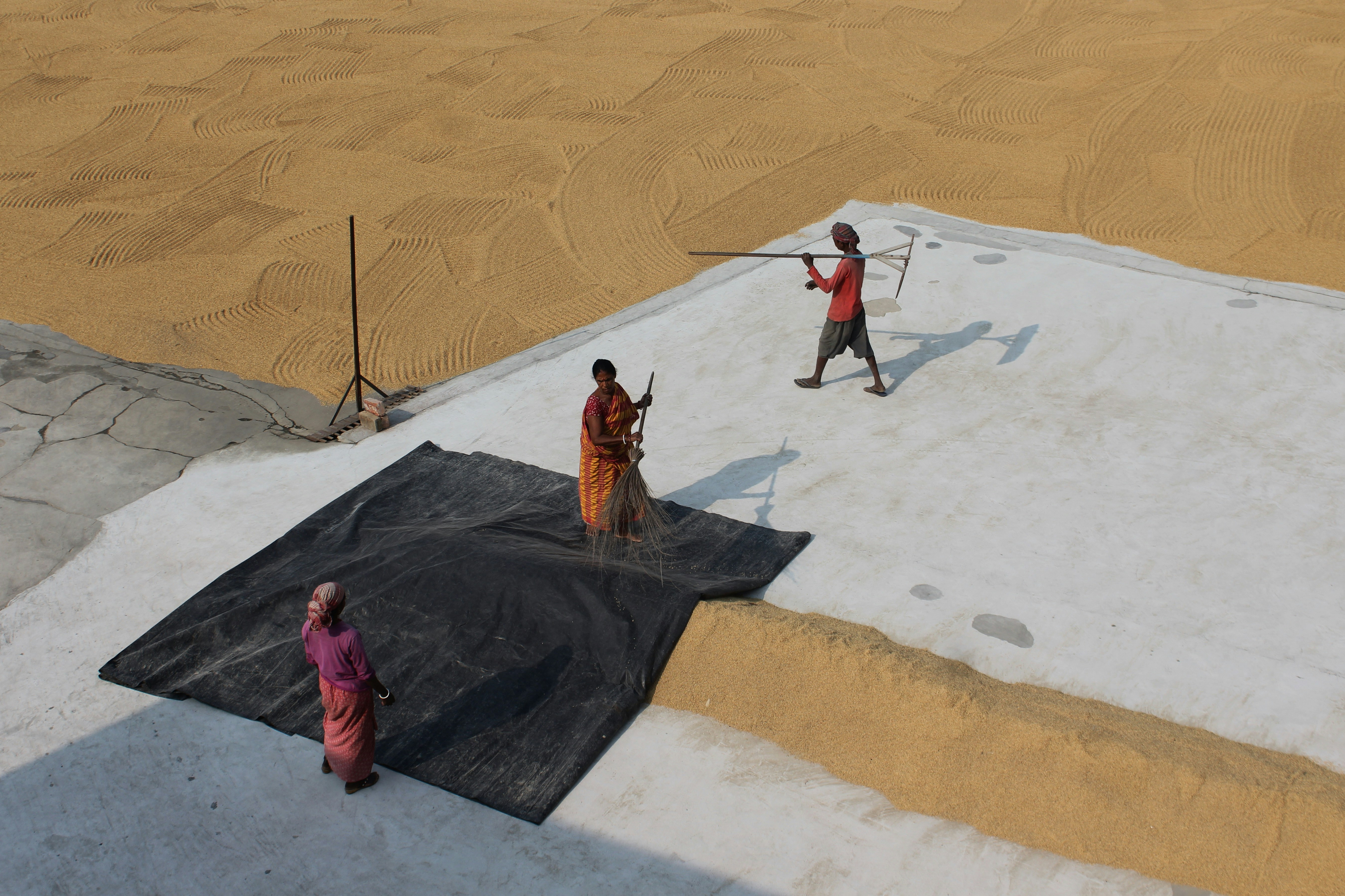 Photo by dibakar16roy