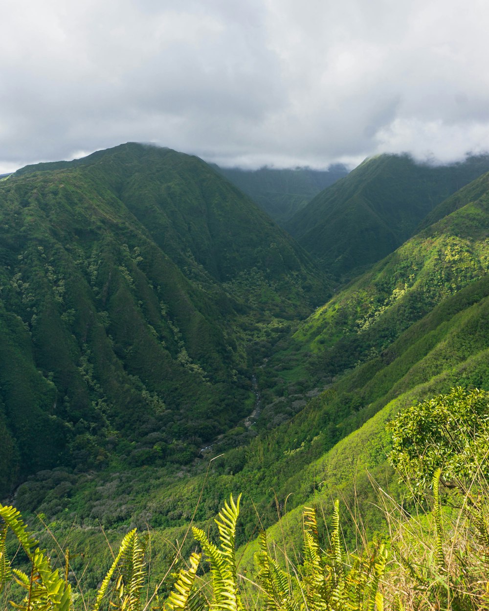 a valley of green mountains