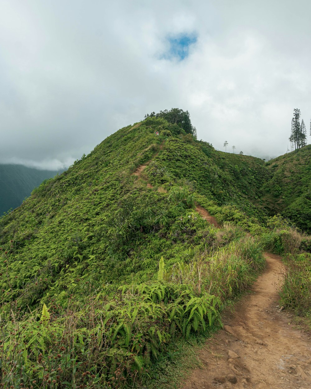 a dirt road on a hill