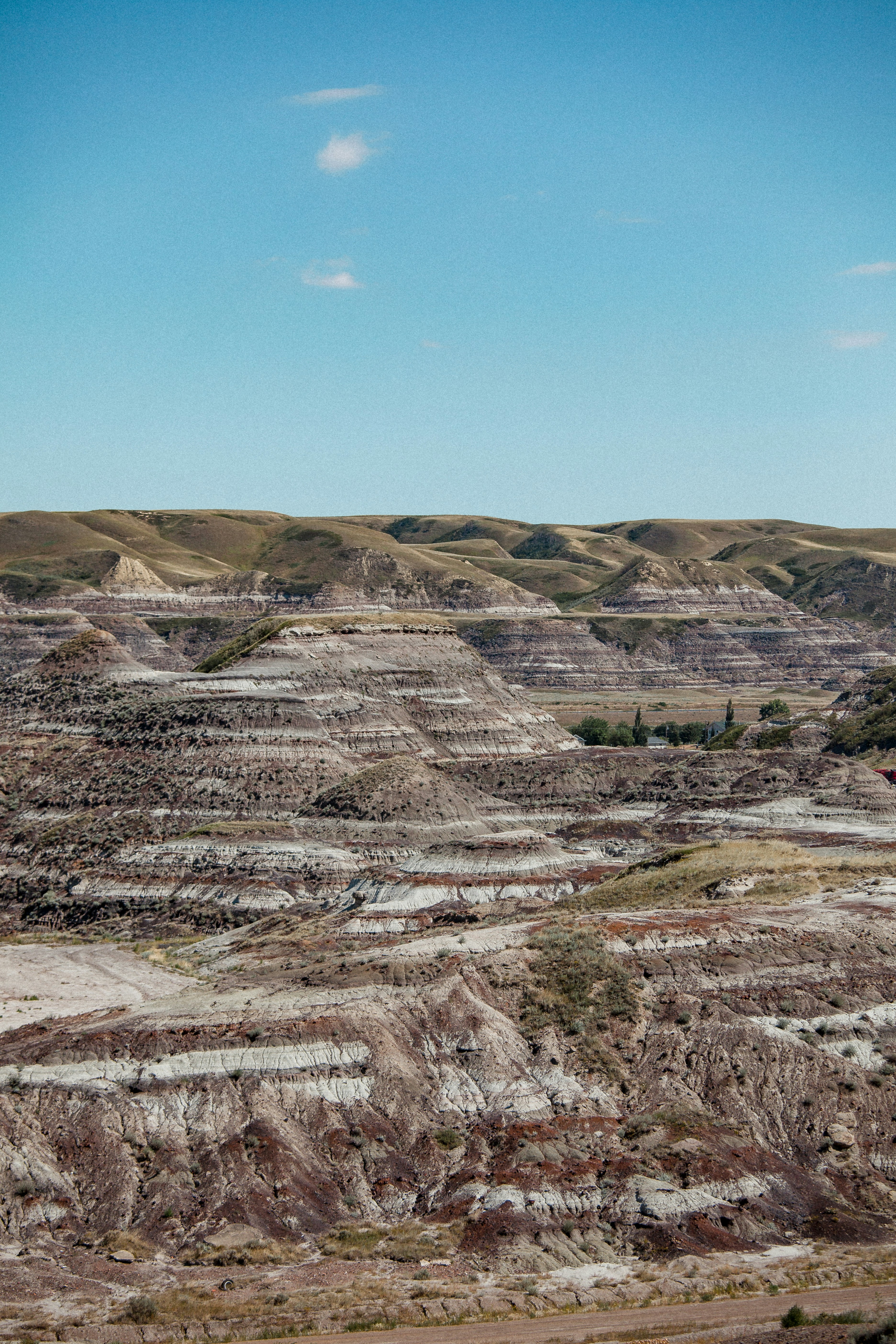 Educational Outreach: Inspiring the Next Generation (image credits: unsplash)