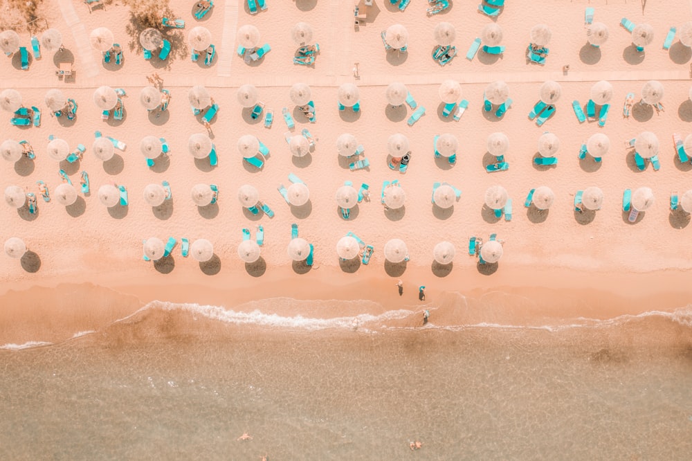 a group of people walking on a beach