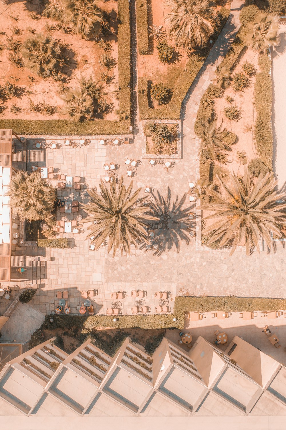 a room with a wall of palm trees and a pool