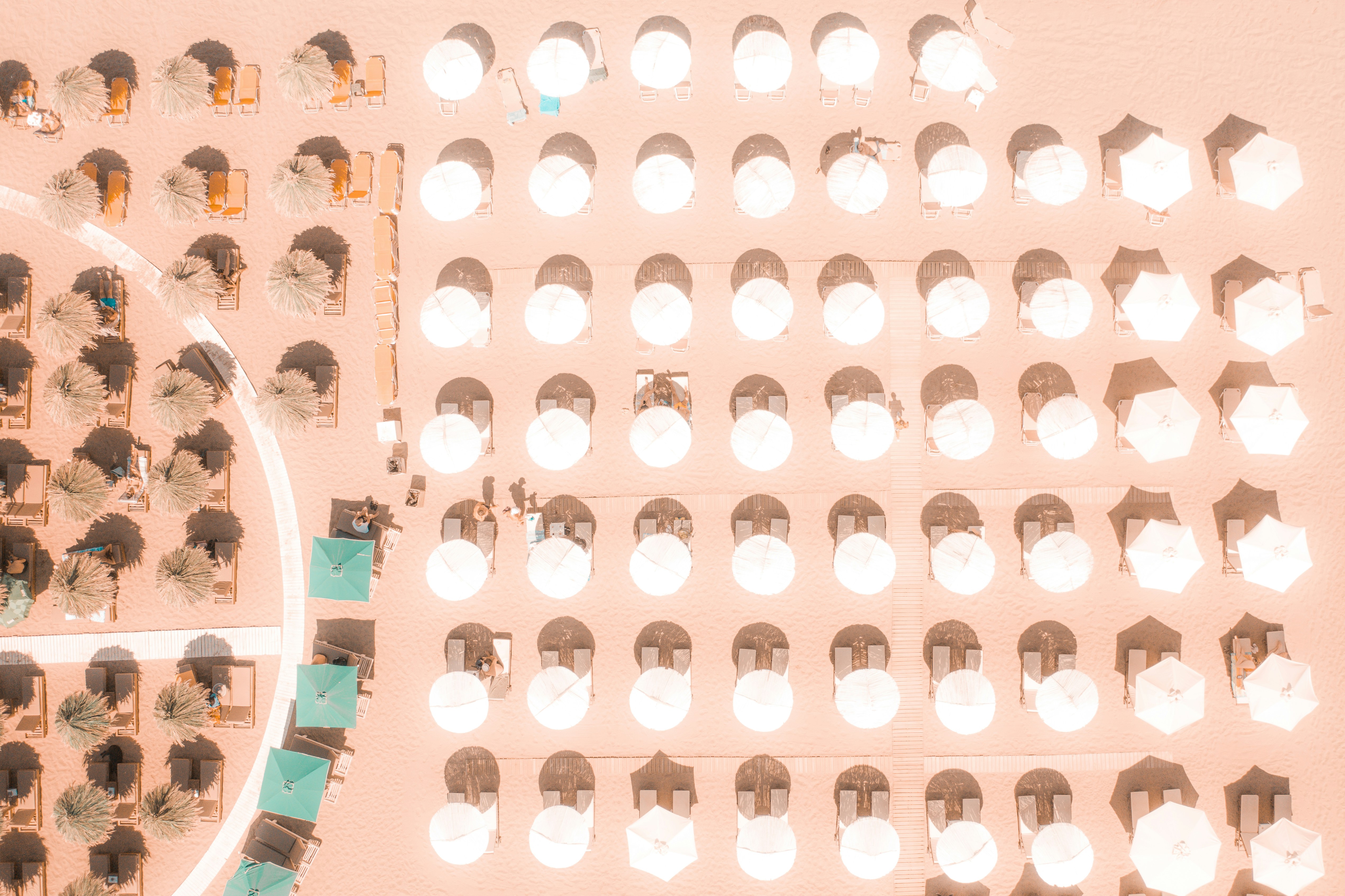 Un groupe de personnes escalade une paroi rocheuse