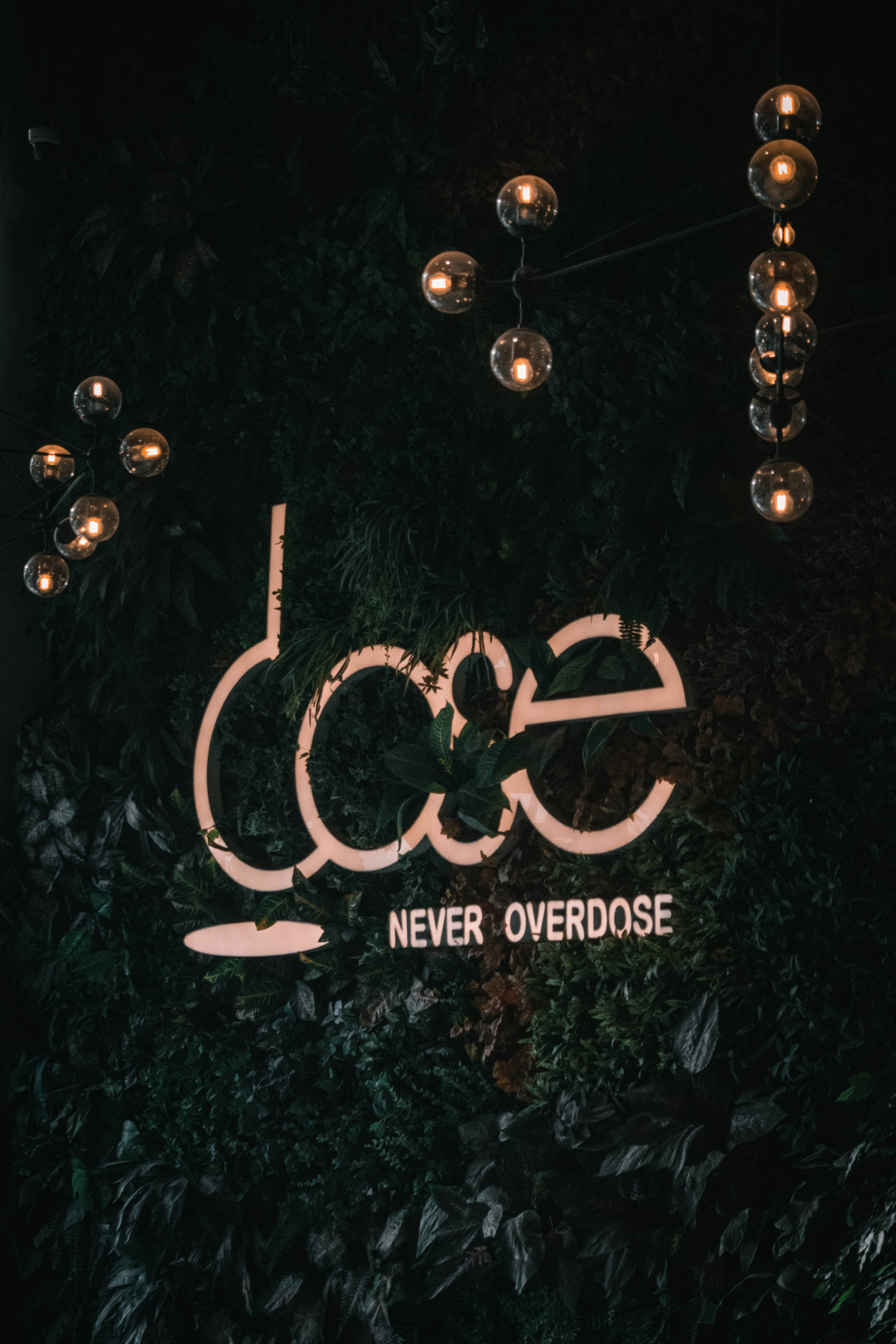 a christmas tree with lights