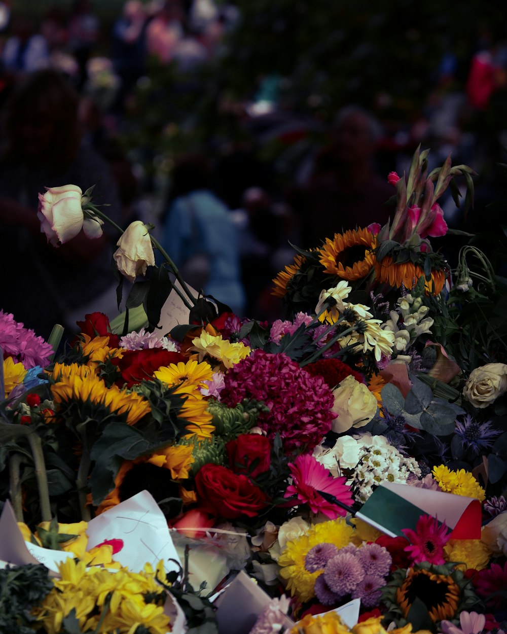 a group of flowers