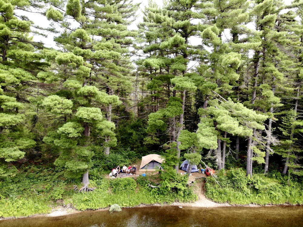 a group of people sitting on a log by a river