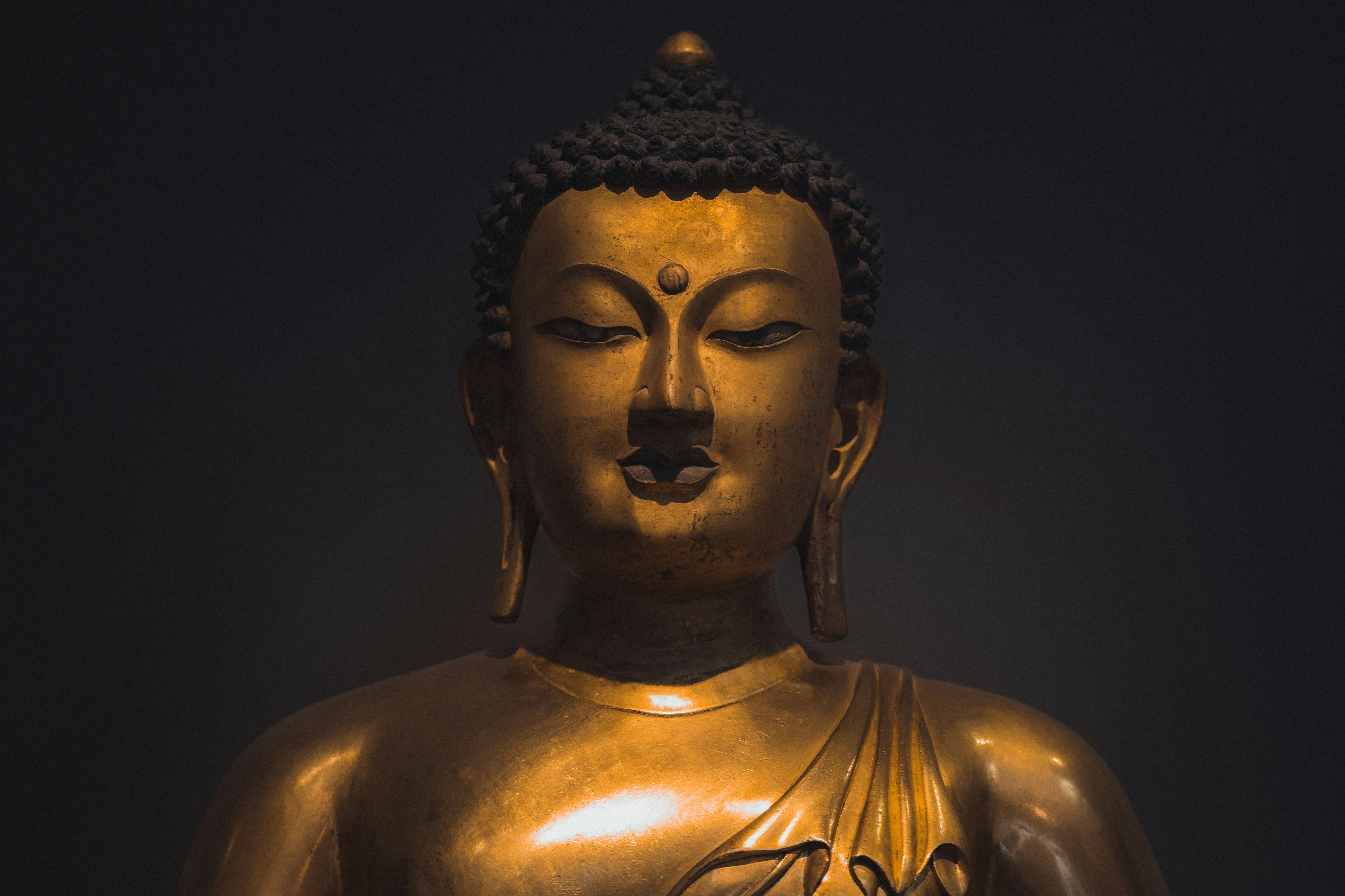 Photo by santesson89