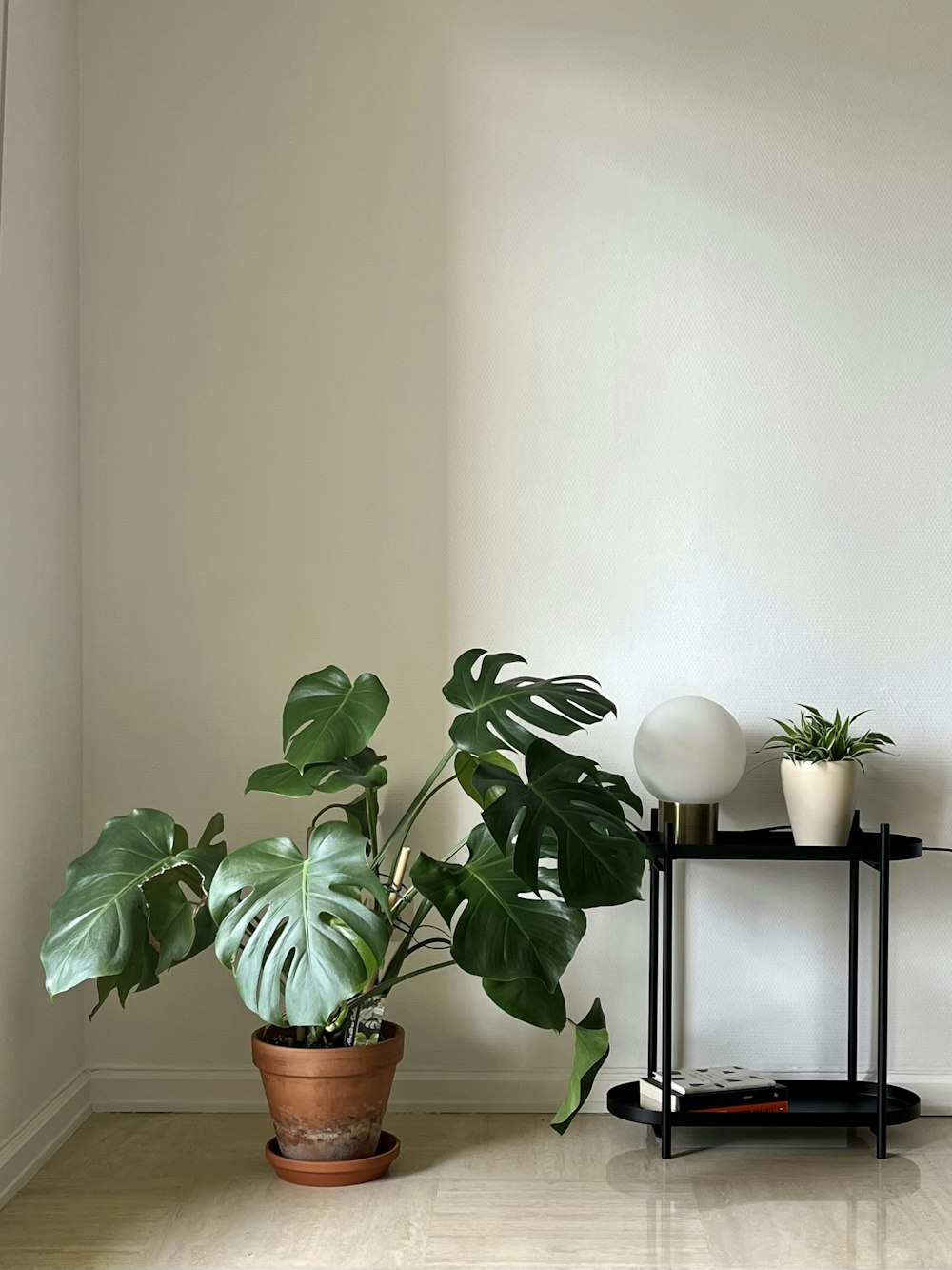 a couple of potted plants on a table