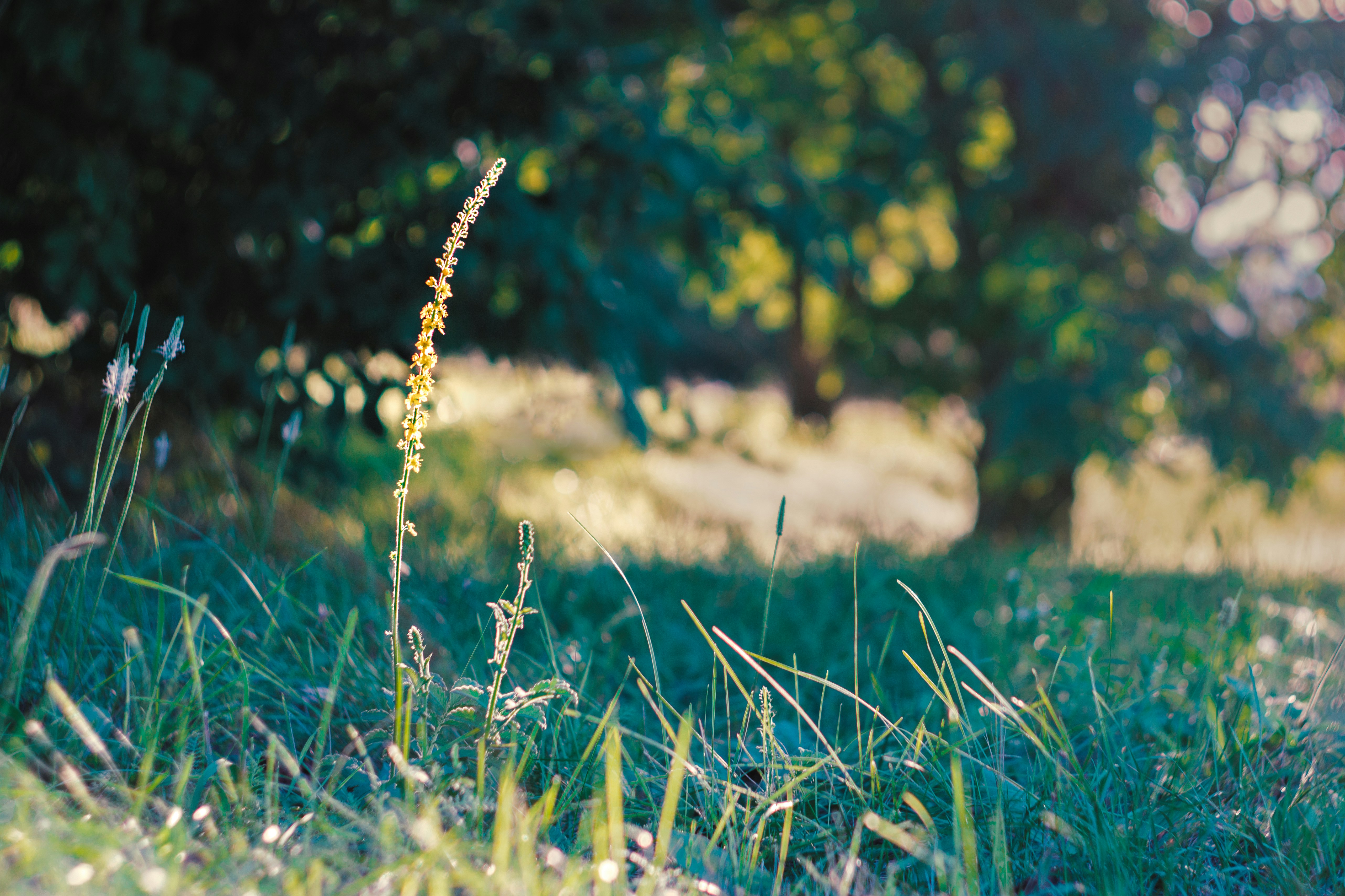 Photo by annaspoljar