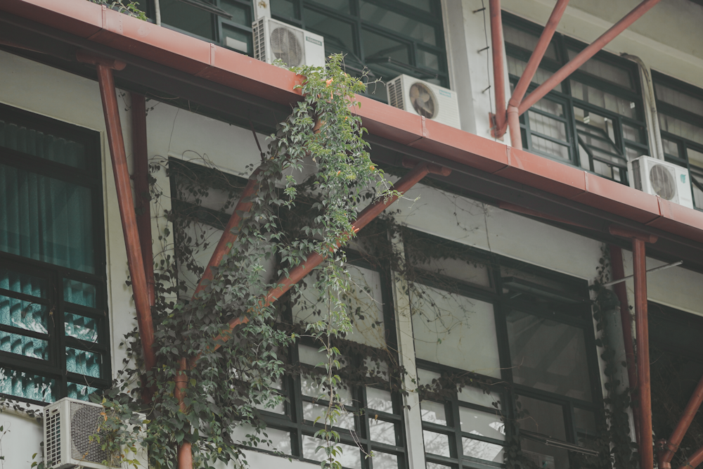 a tree in front of a building