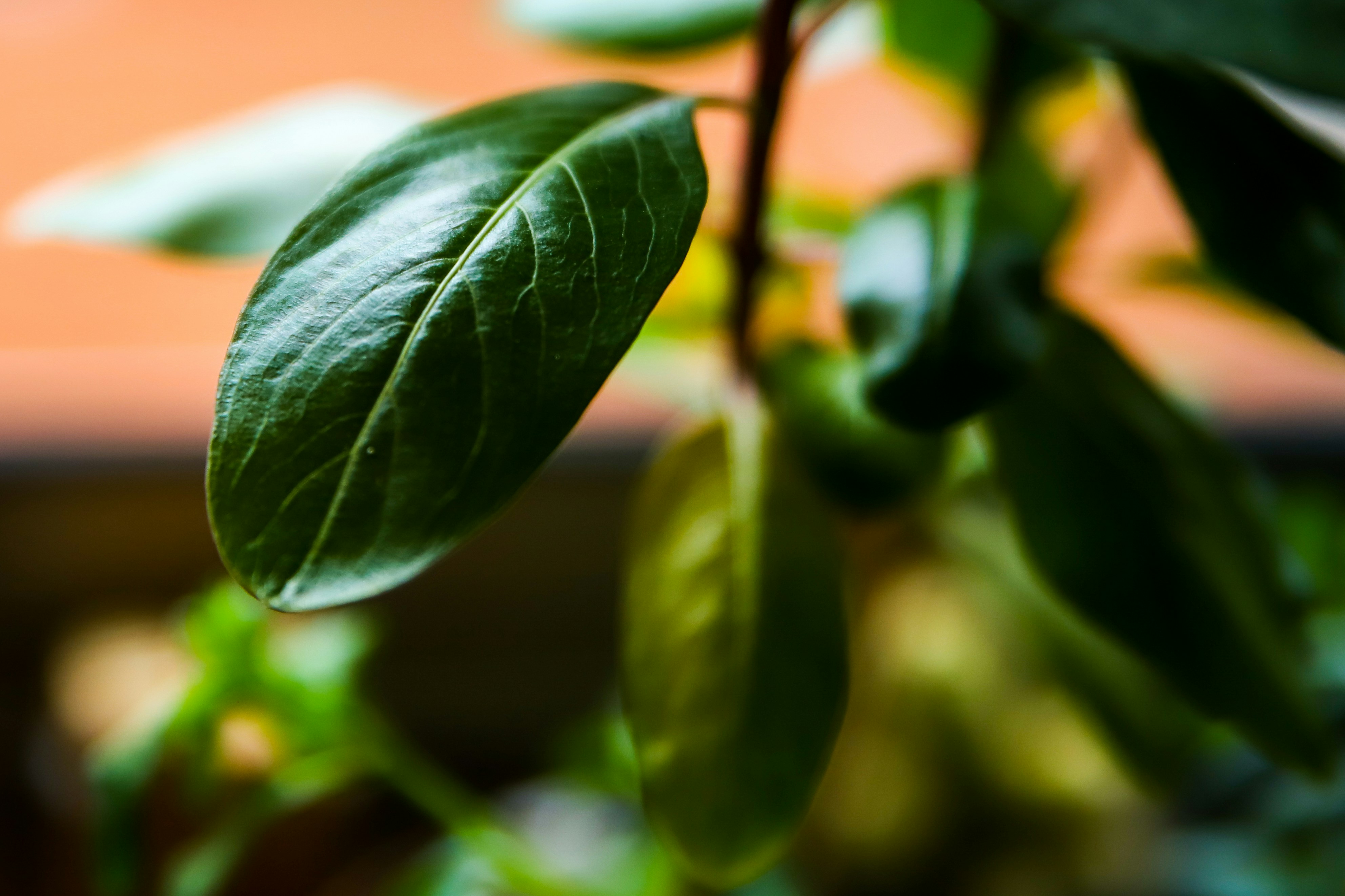 Photo by roberta1976