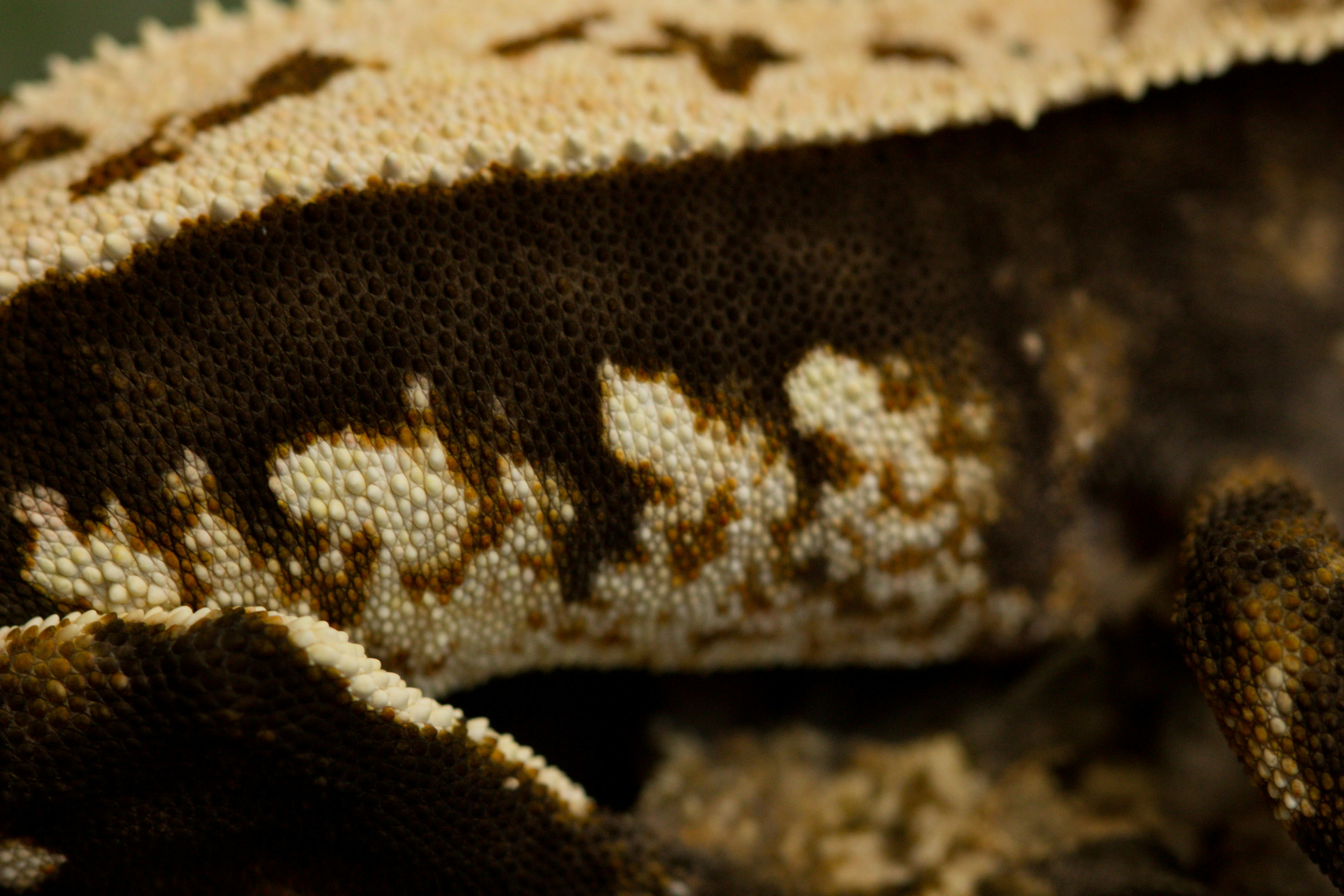 Photo by desiree0604