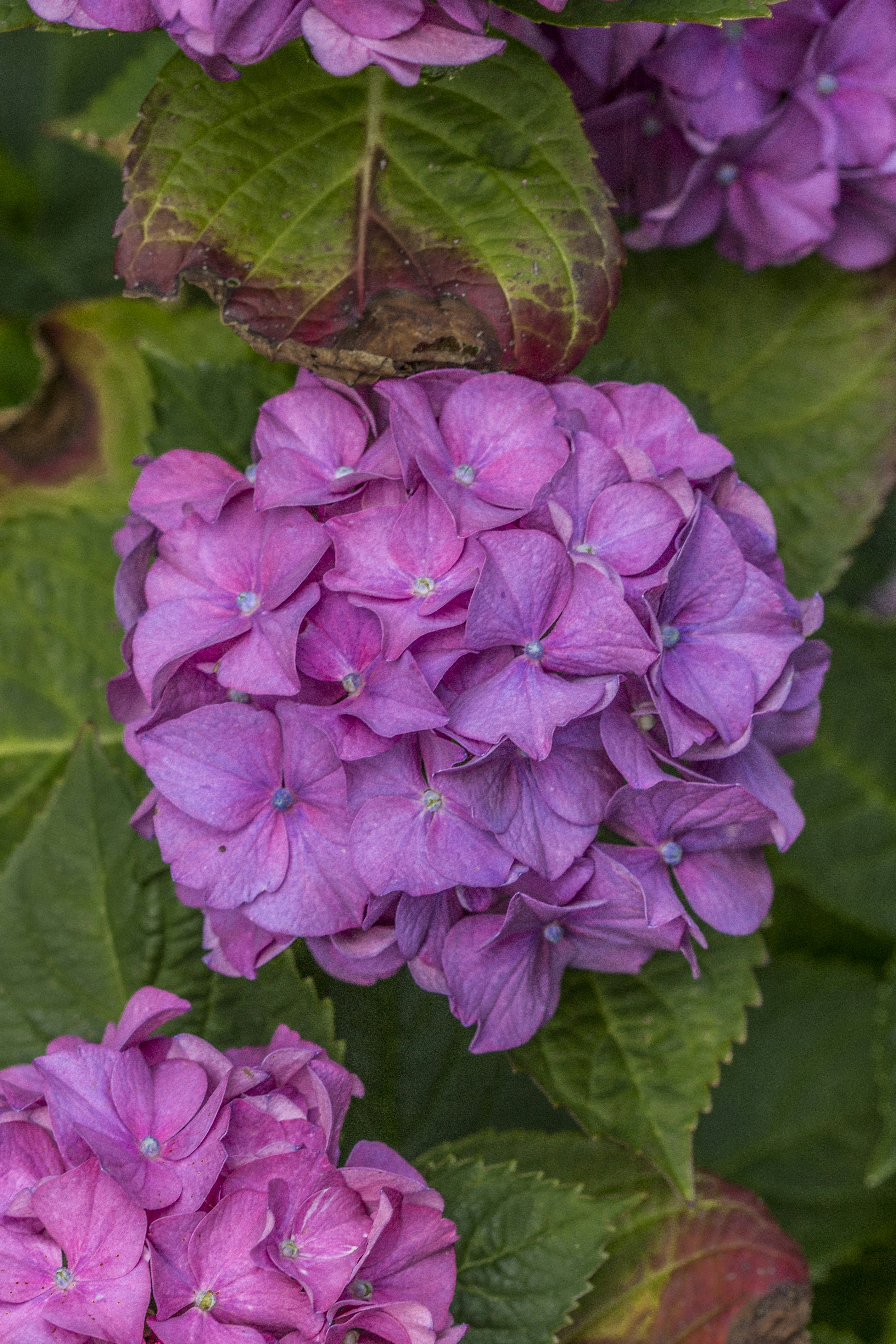 Photo by desiree0604