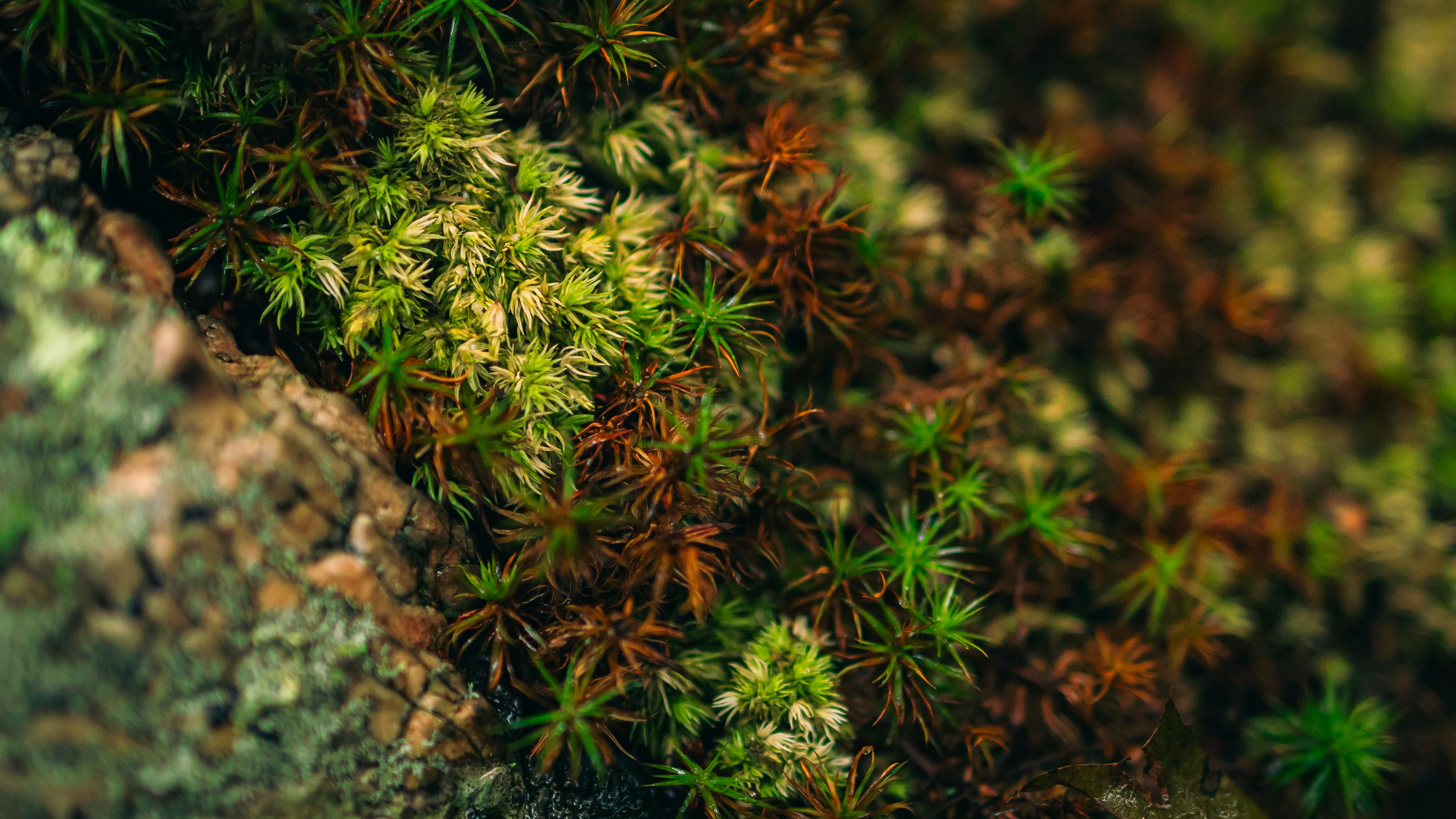 Photo by hanyangzhang