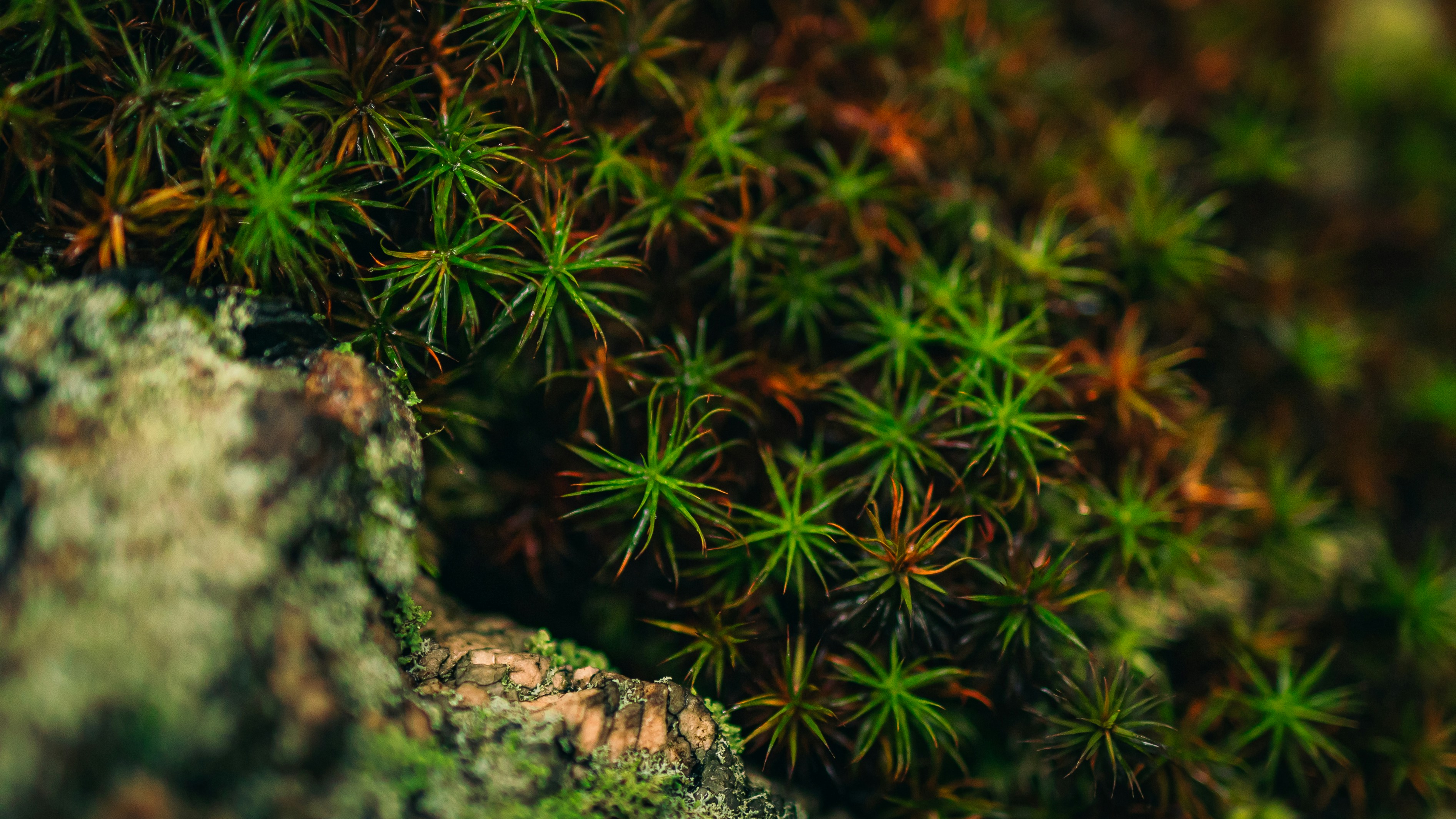 Photo by hanyangzhang