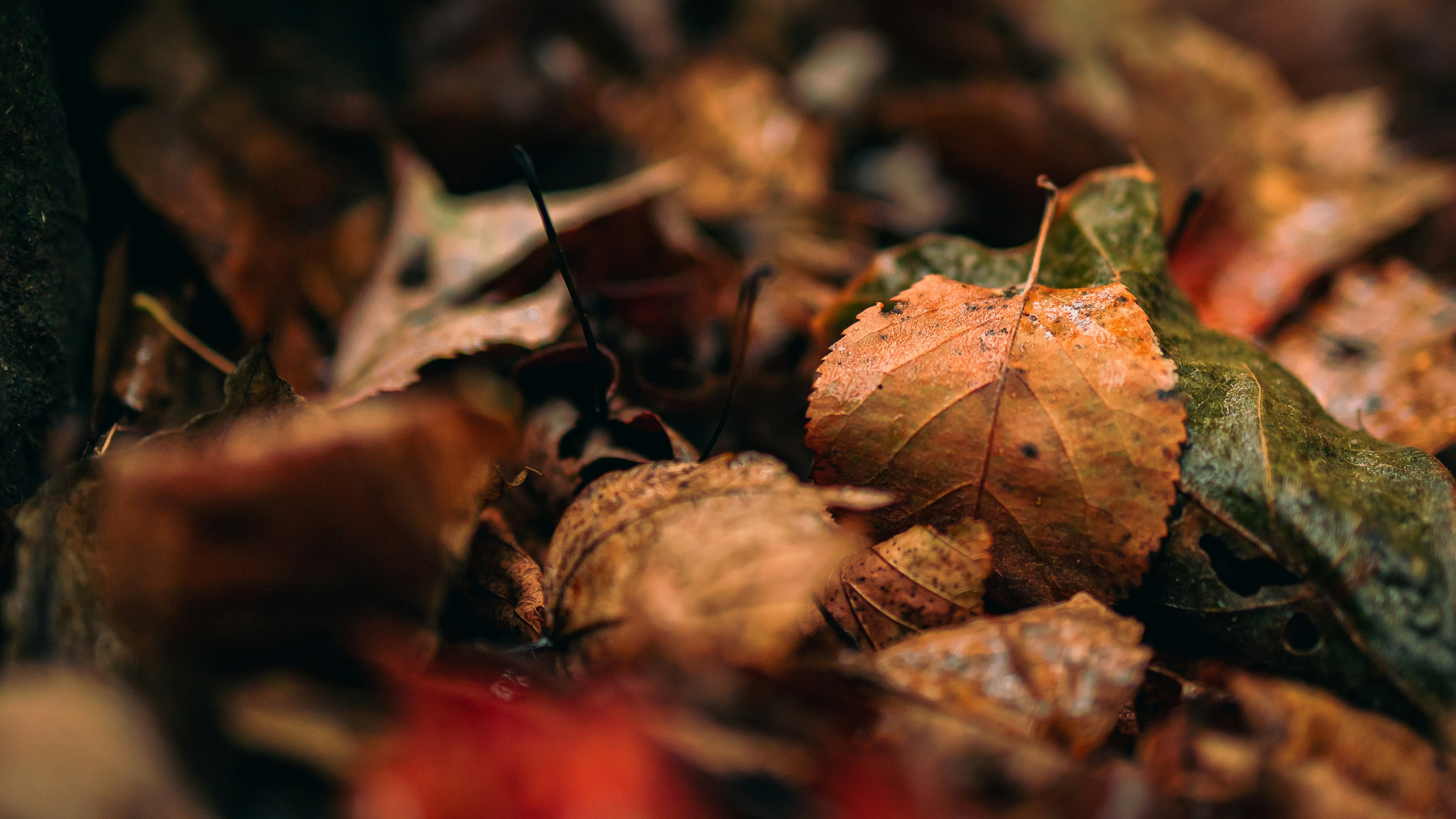 Photo by hanyangzhang