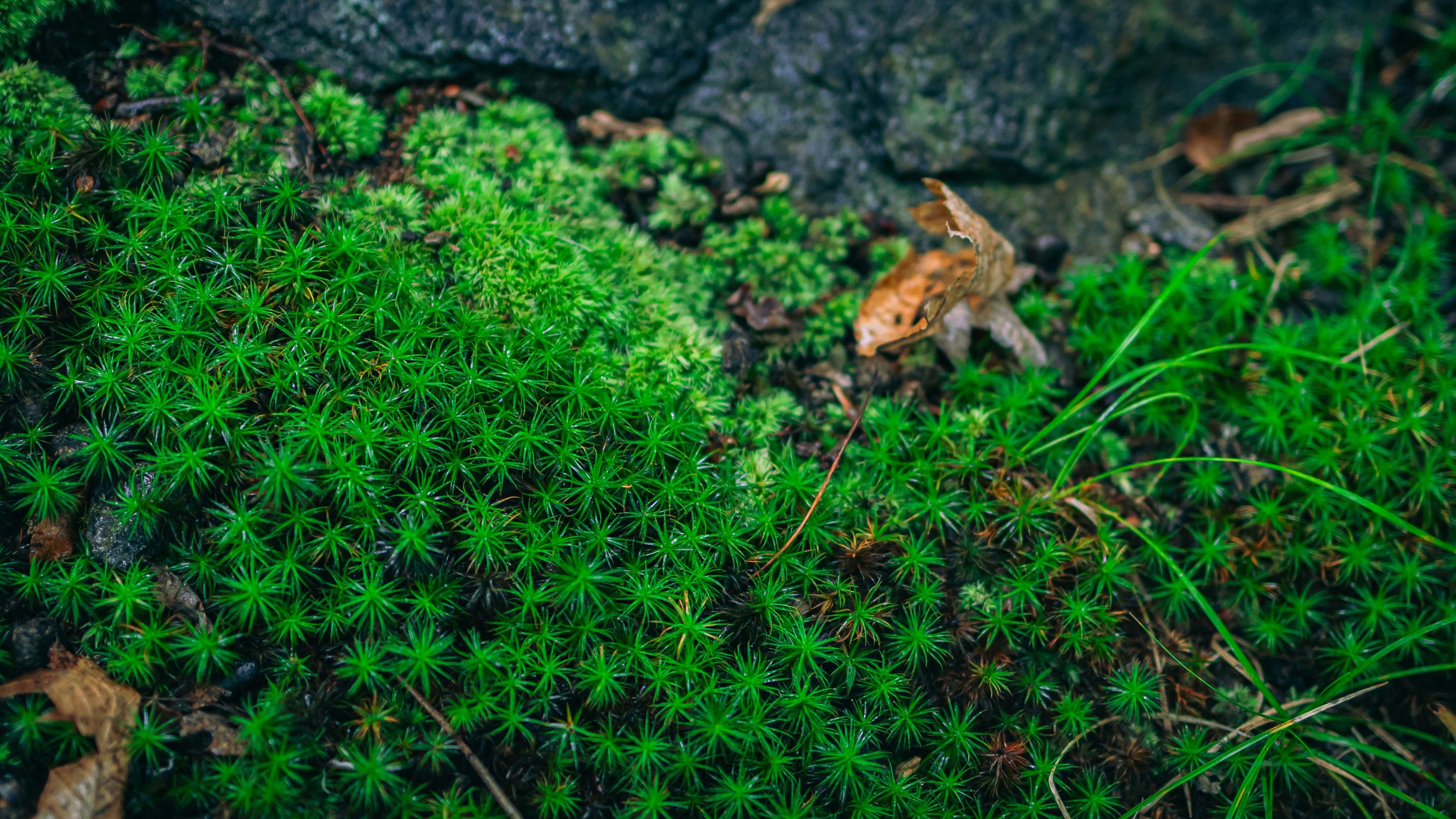 Photo by hanyangzhang