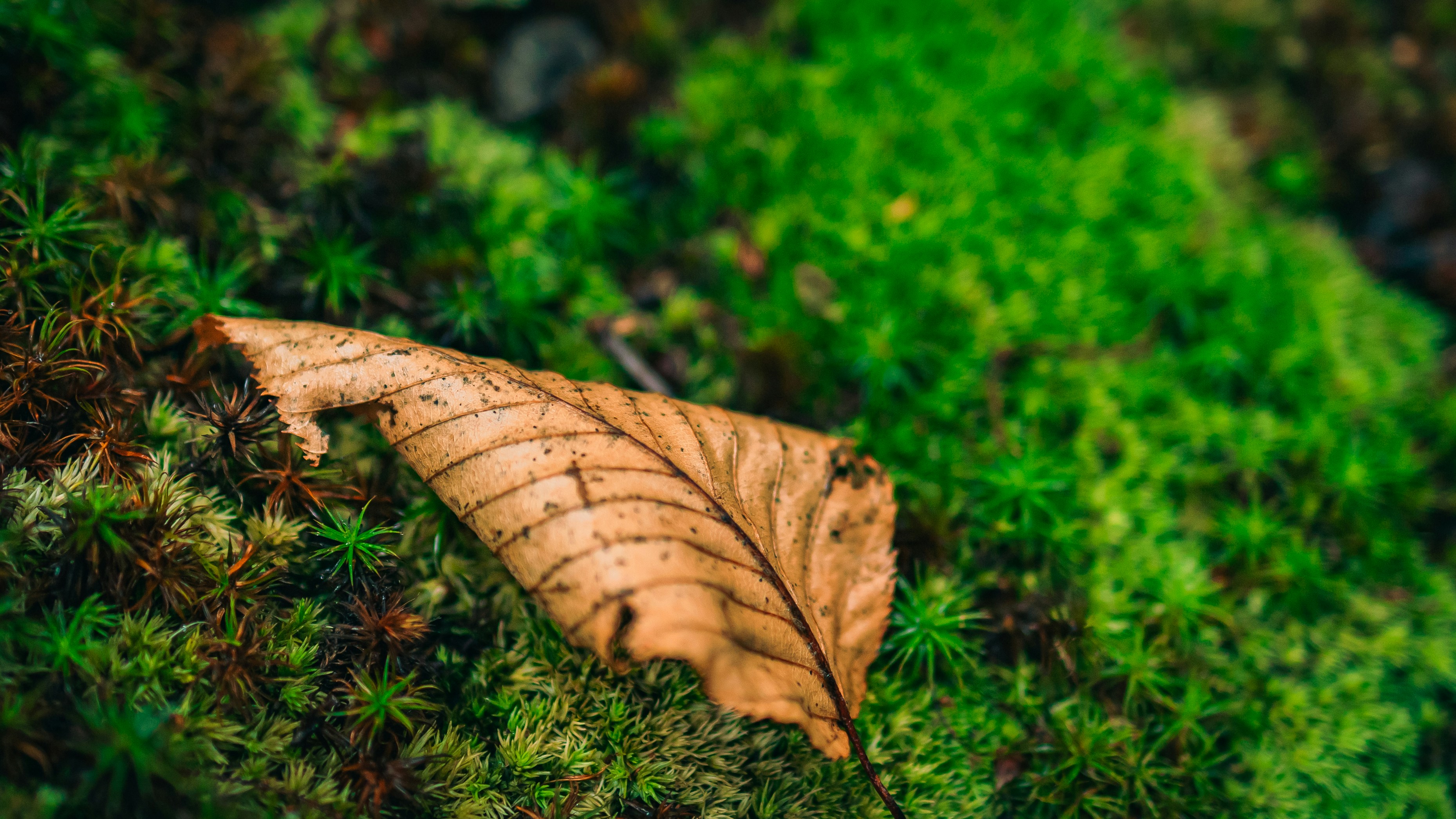 Photo by hanyangzhang