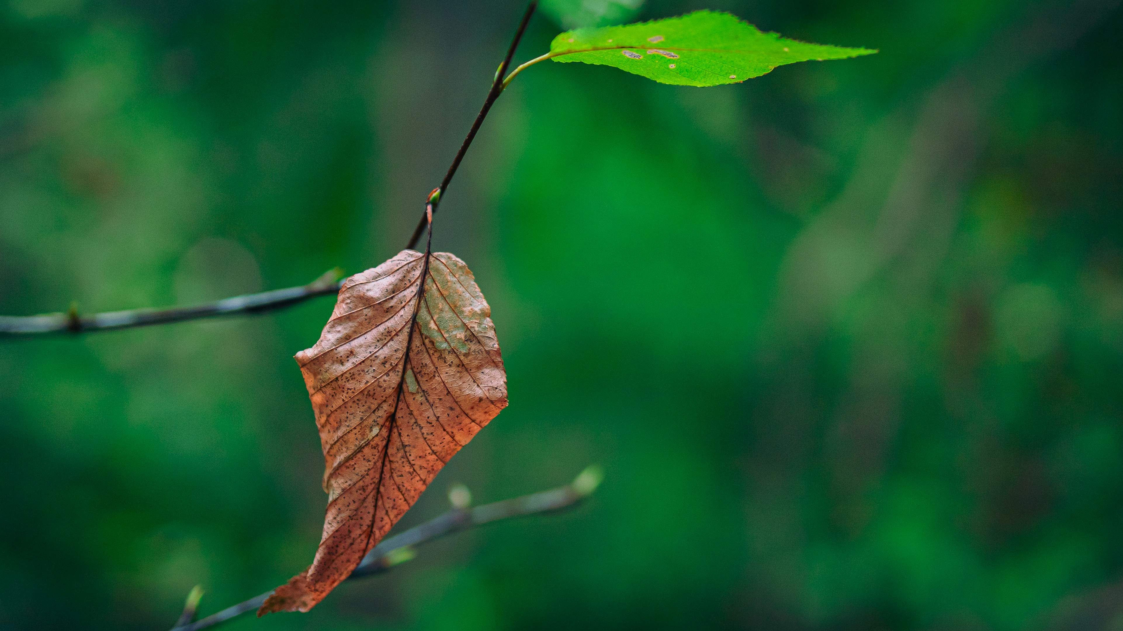 Photo by hanyangzhang