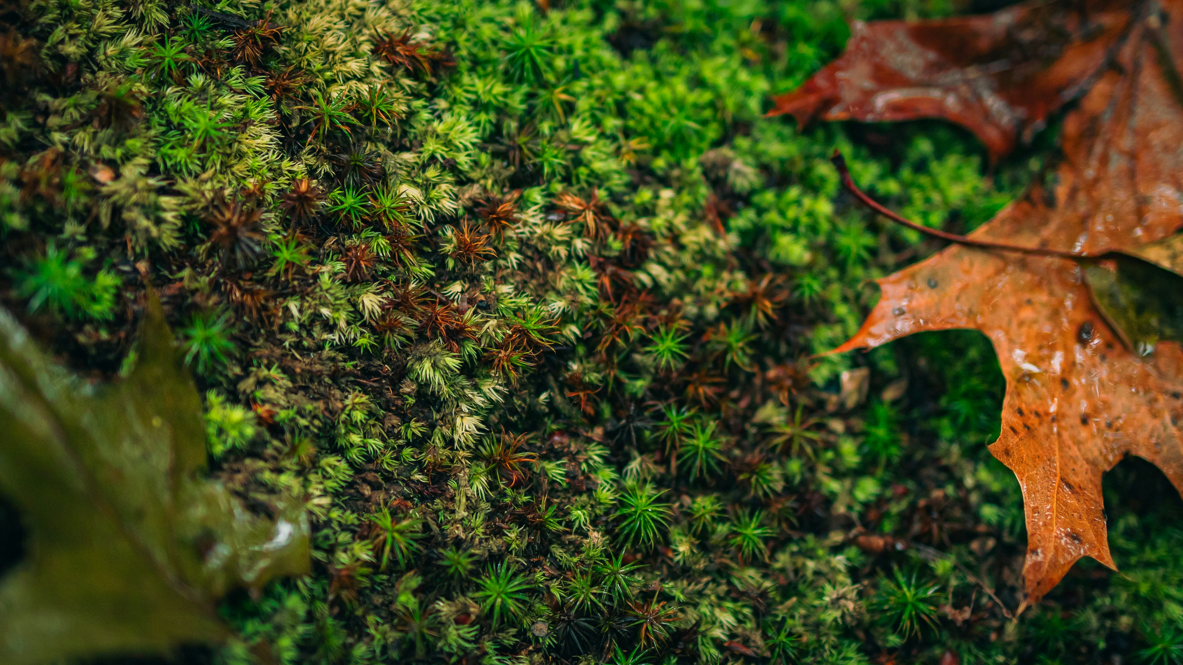 Photo by hanyangzhang