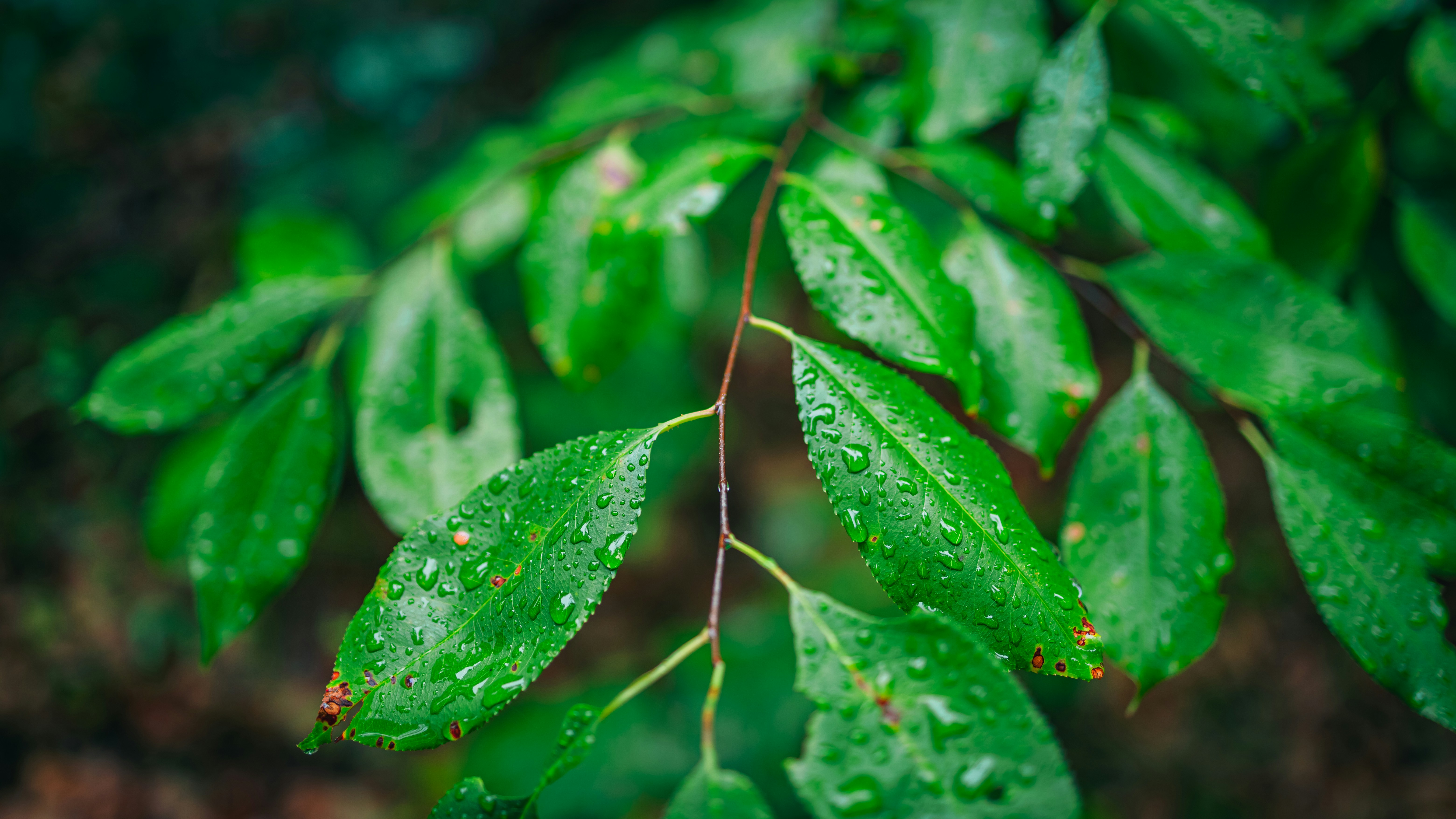 Photo by hanyangzhang