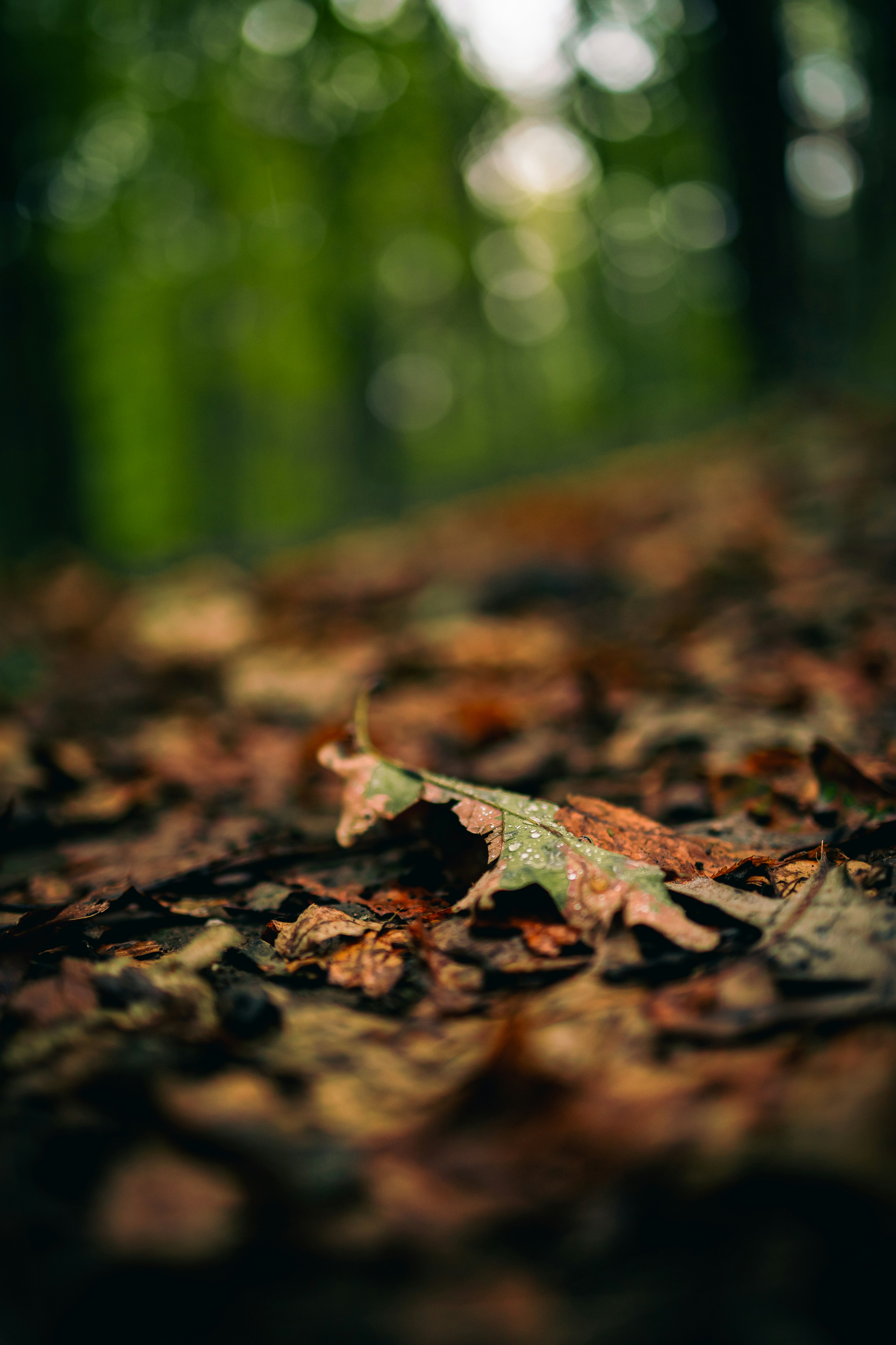 Photo by hanyangzhang