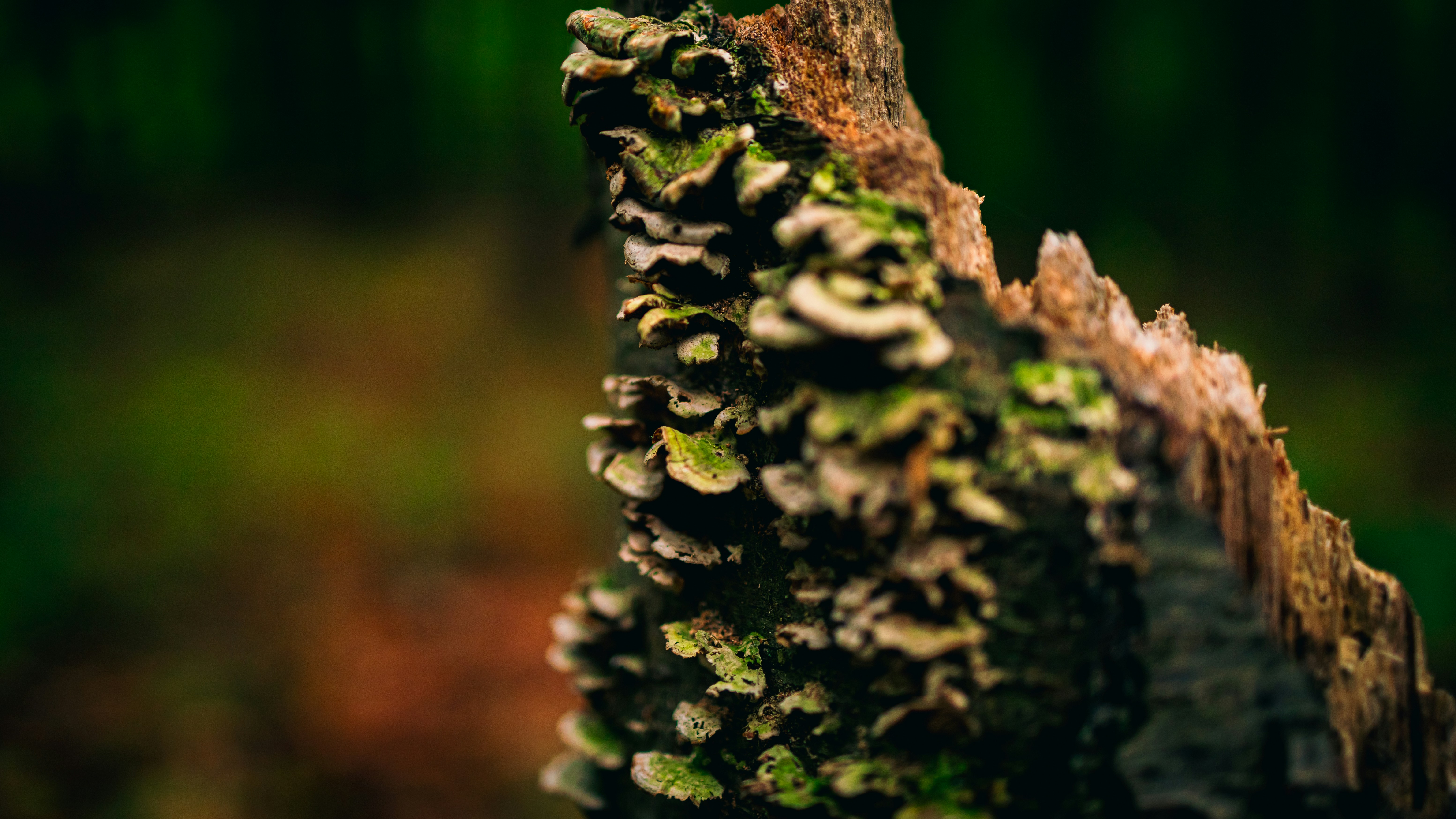 Photo by hanyangzhang