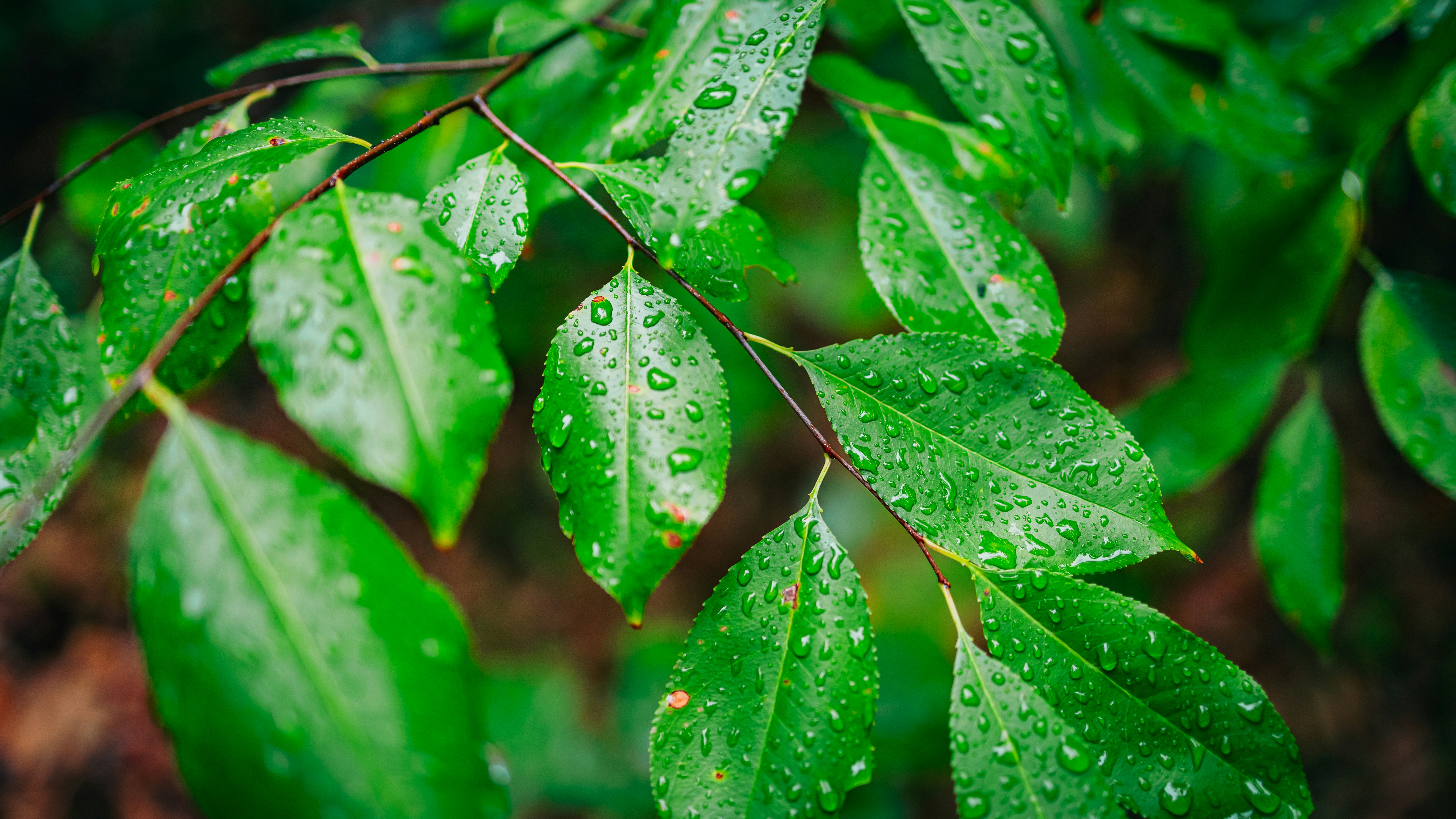 Photo by hanyangzhang