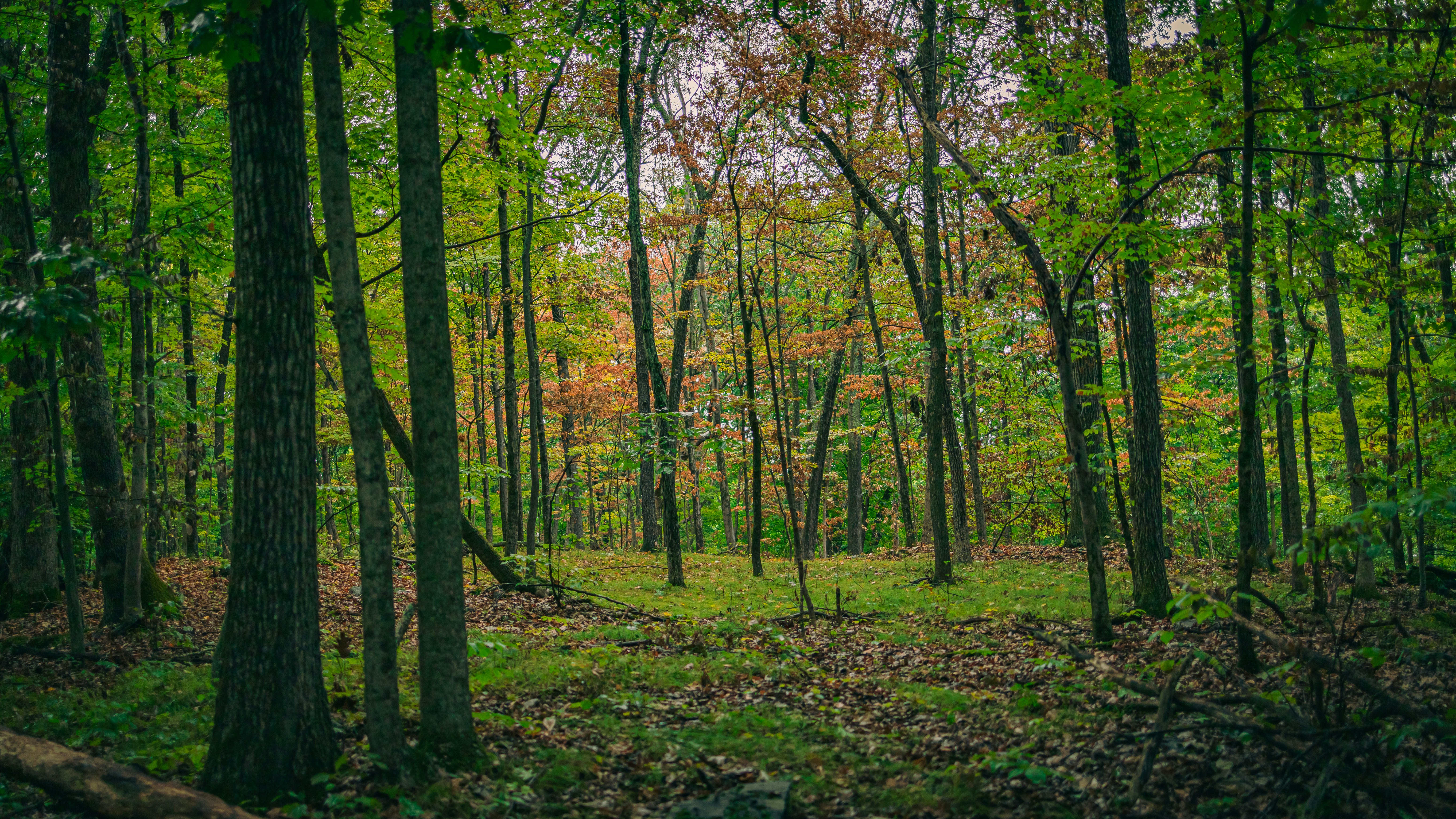 Photo by hanyangzhang