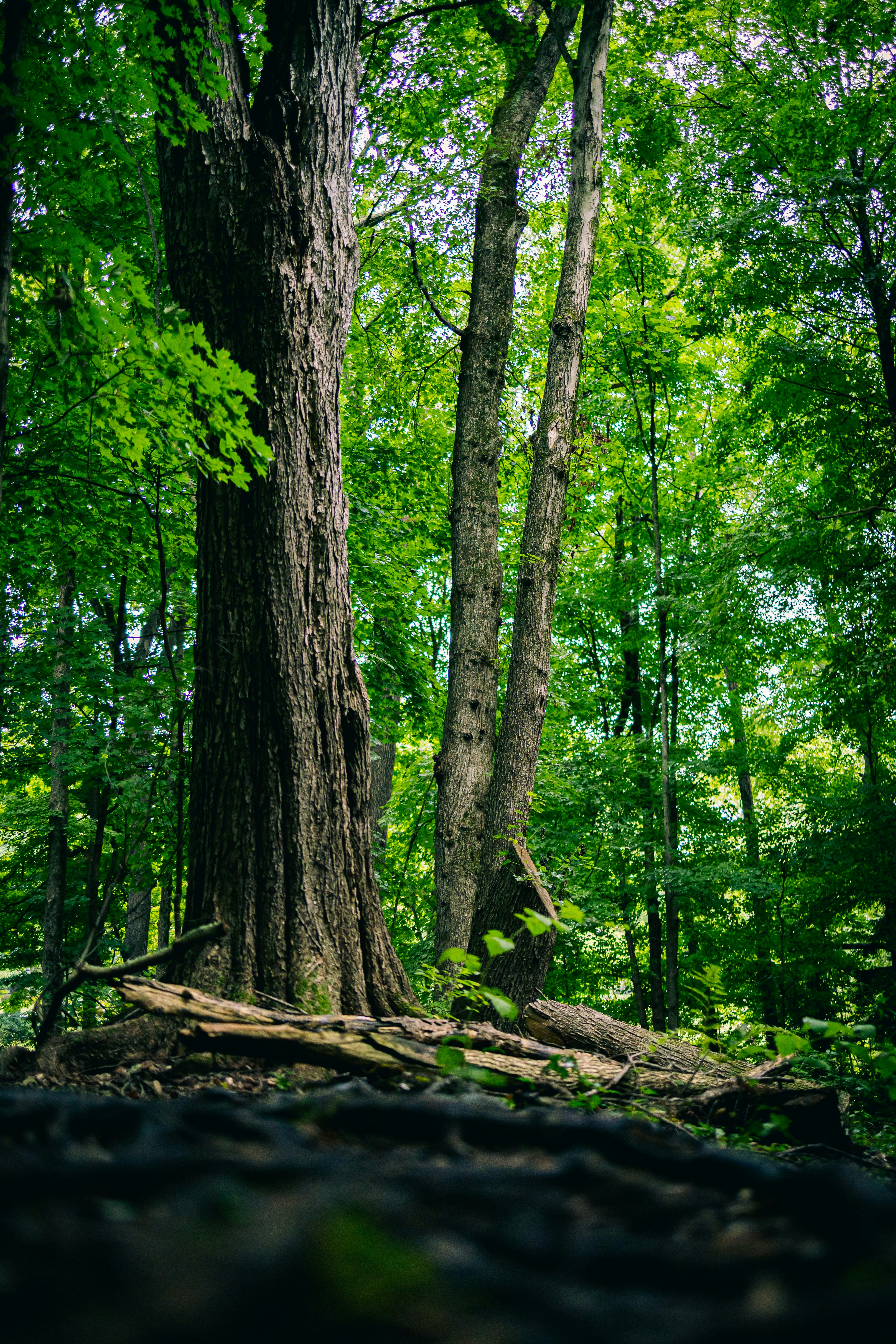 Photo by hanyangzhang