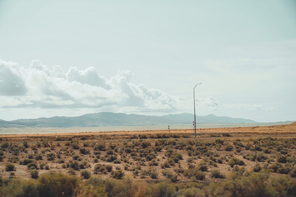 a desert landscape with a street light