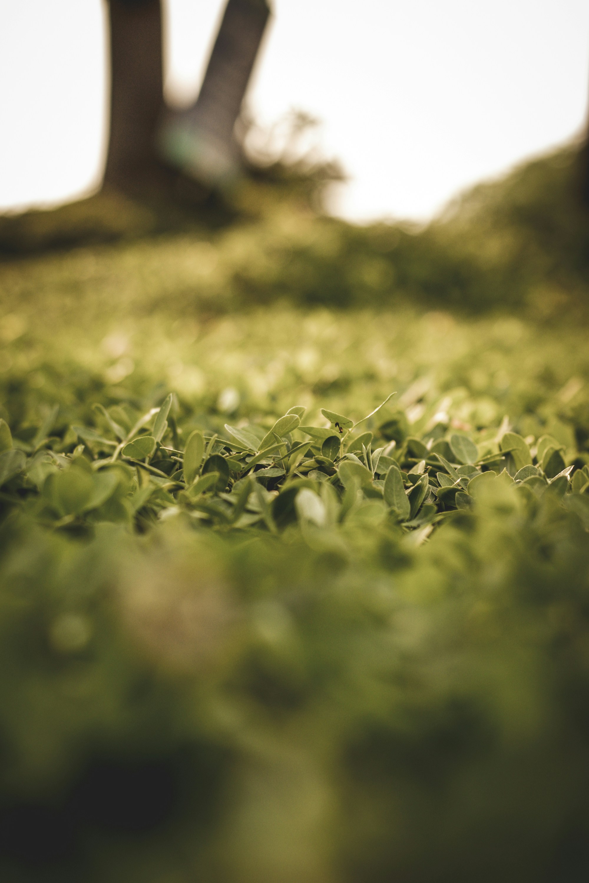 Photo by hugoalvesoliveira