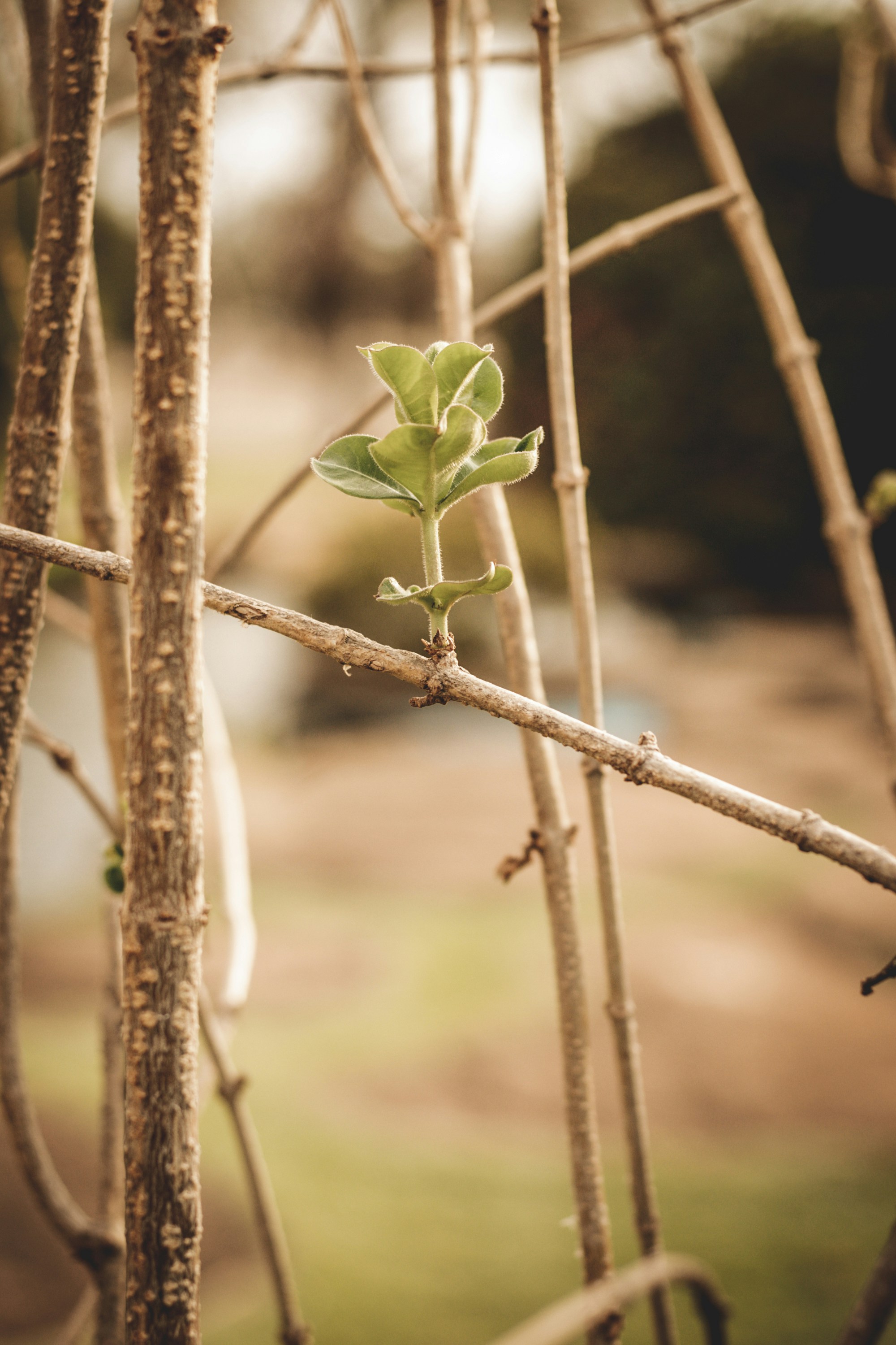 Photo by hugoalvesoliveira