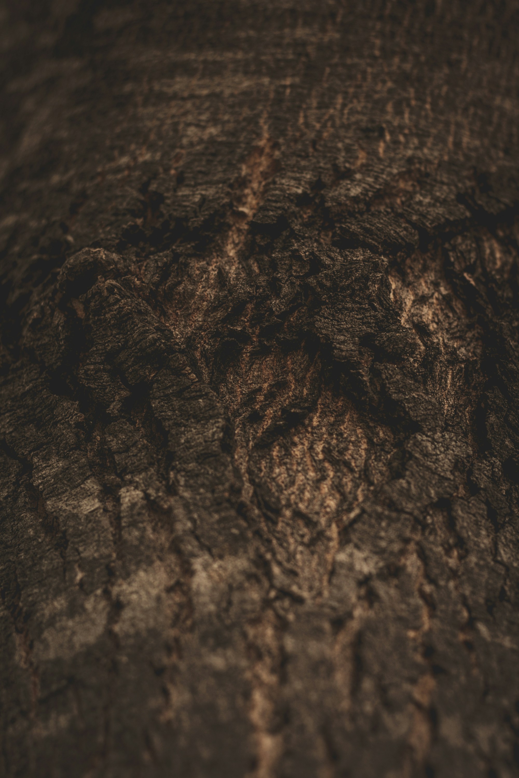 Photo by hugoalvesoliveira